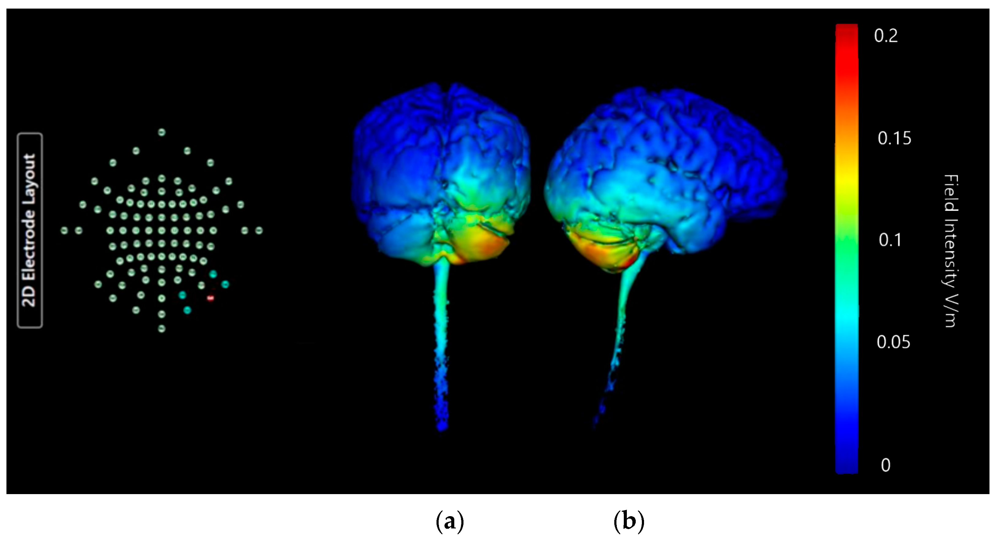 Brainsci 15 00344 g018