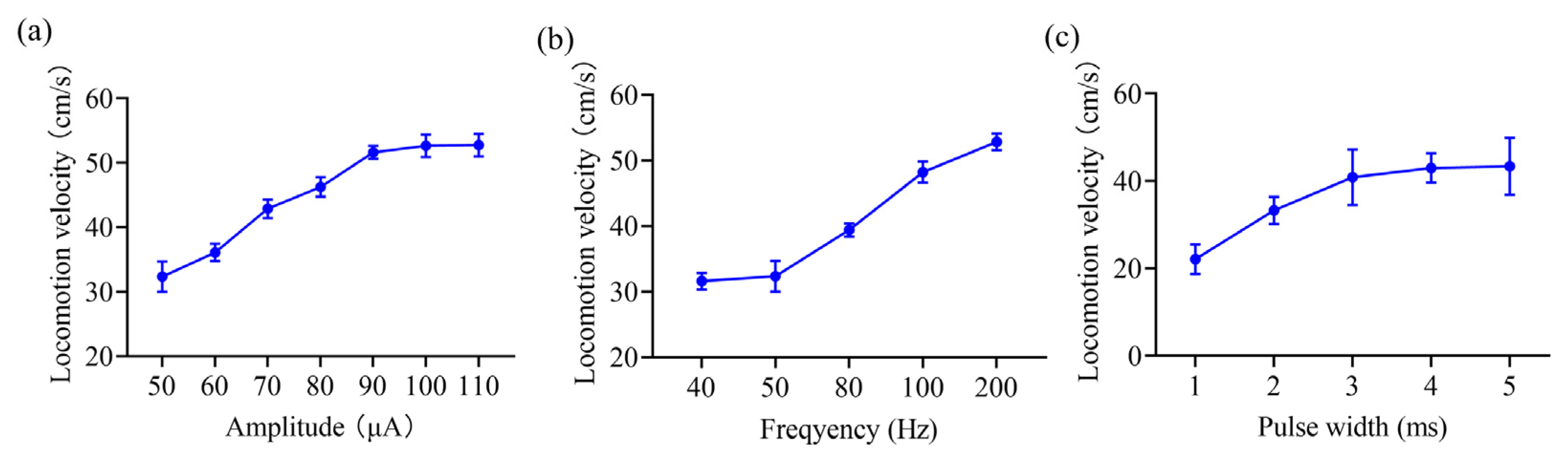 Brainsci 15 00348 g005