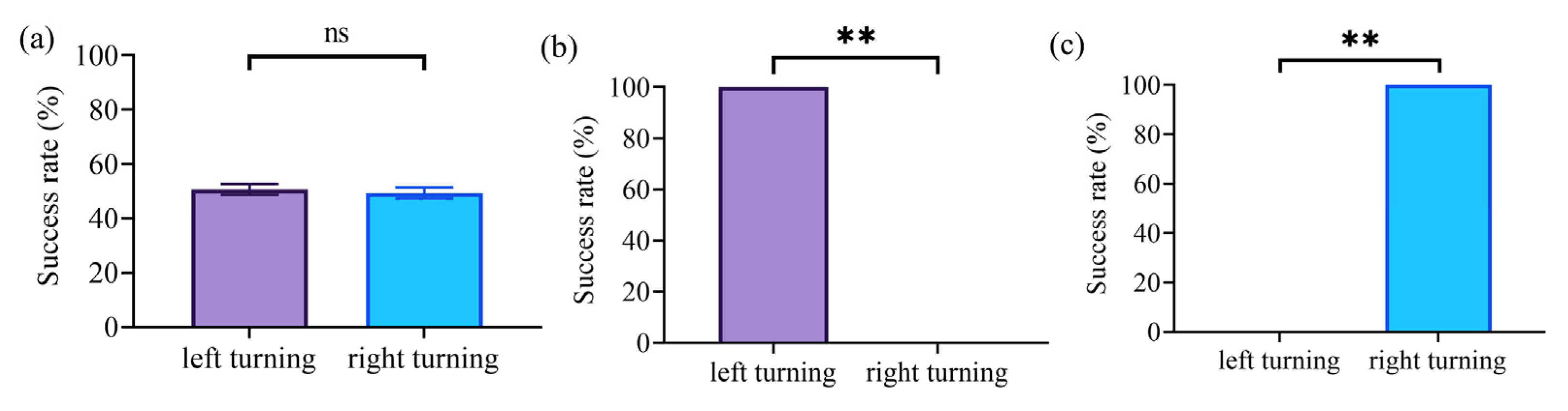Brainsci 15 00348 g007