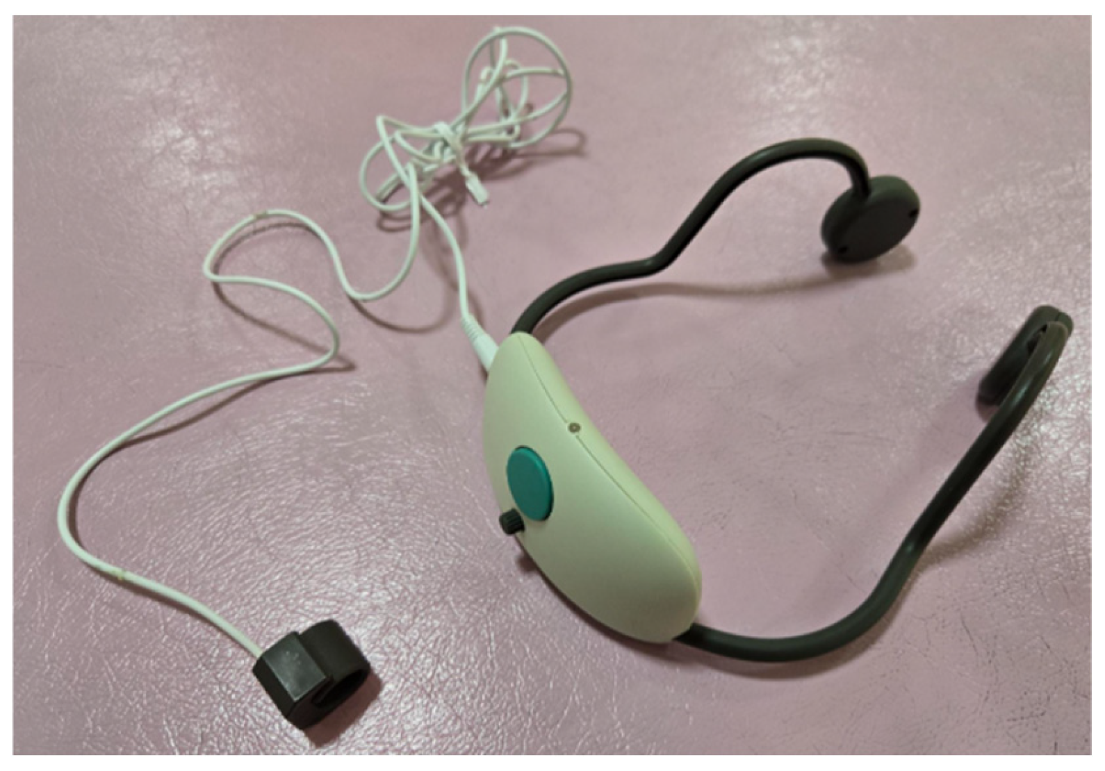 Brainsci 15 00352 g001