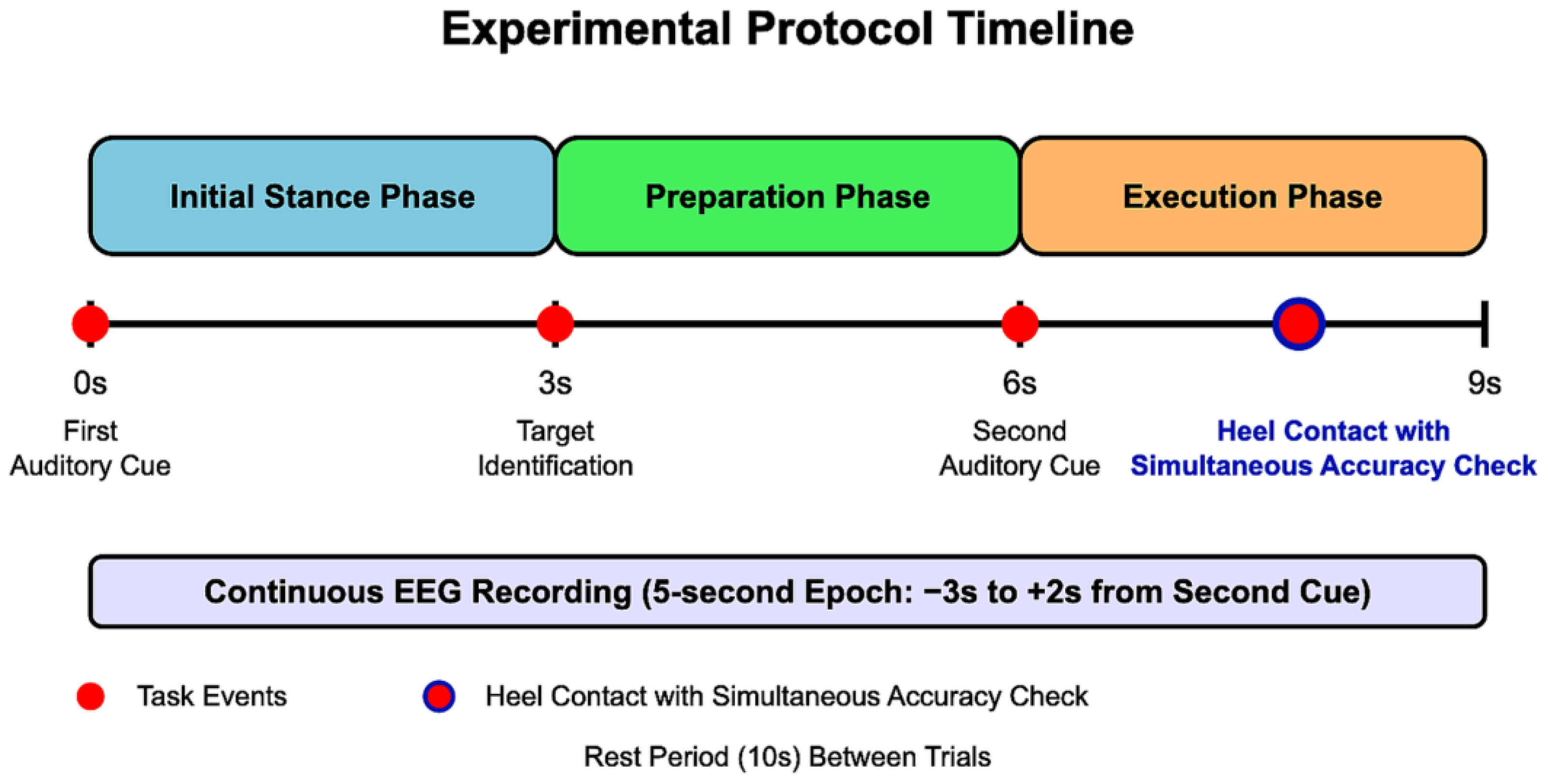 Brainsci 15 00356 g002