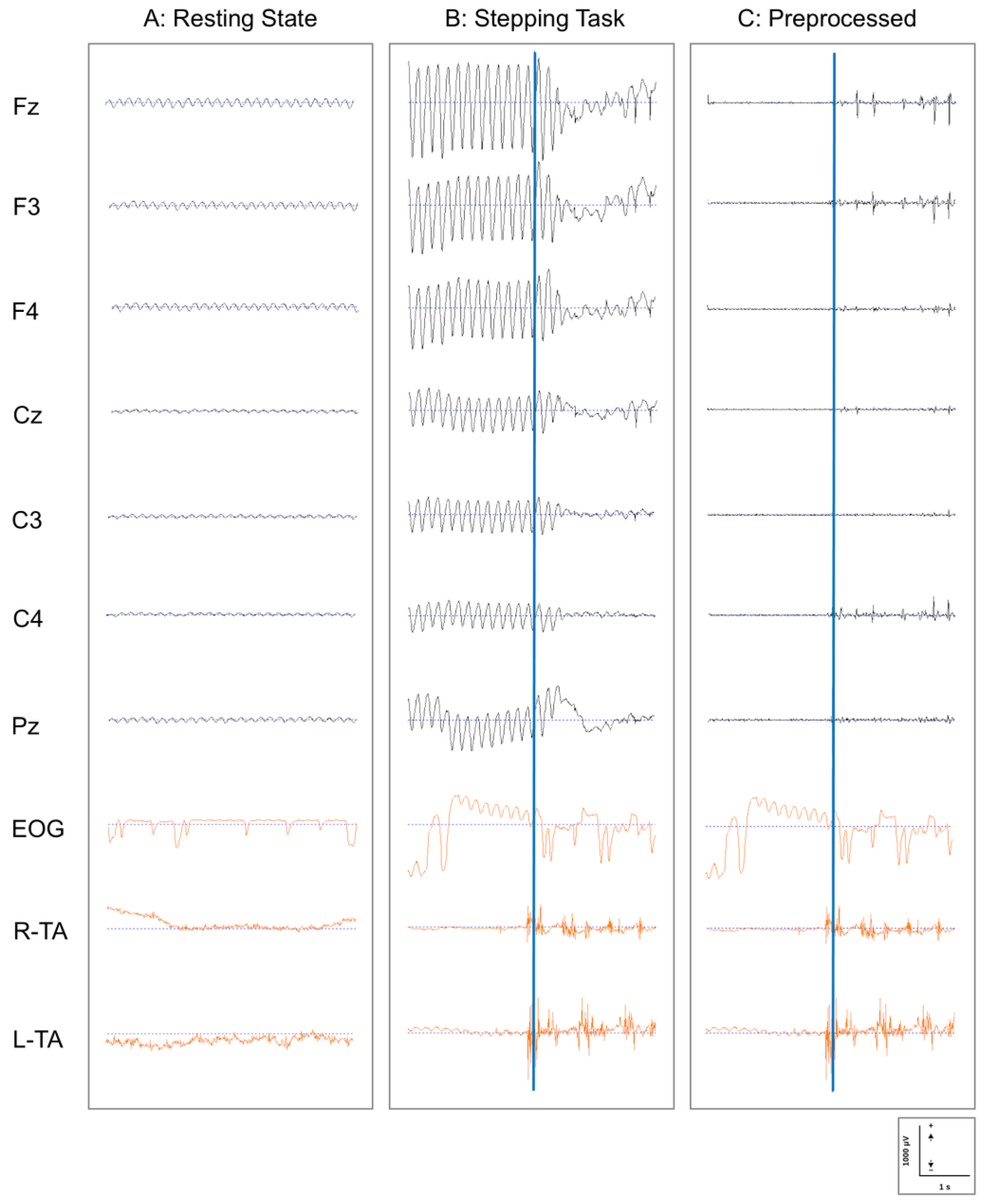 Brainsci 15 00356 g003