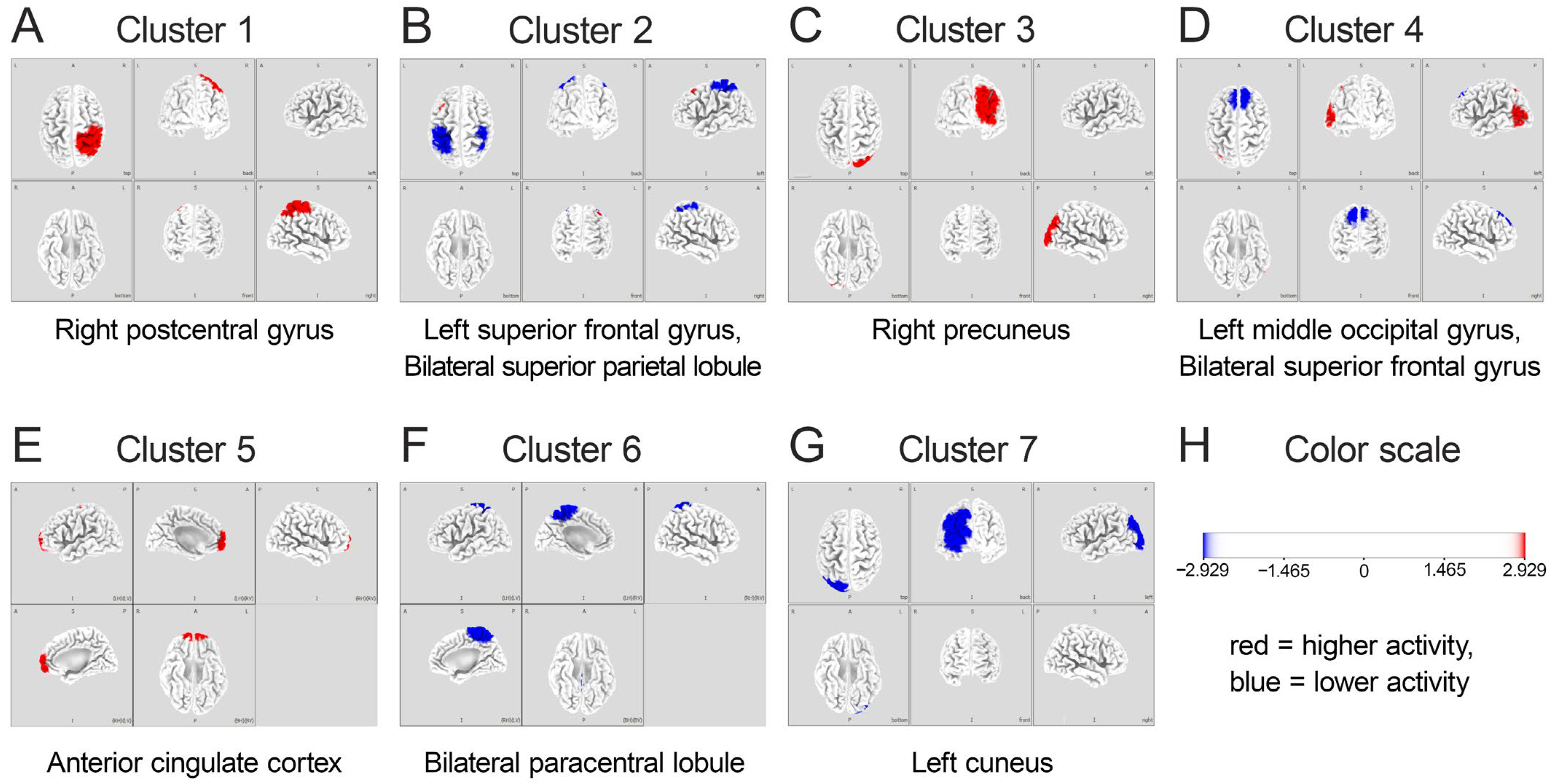 Brainsci 15 00356 g004