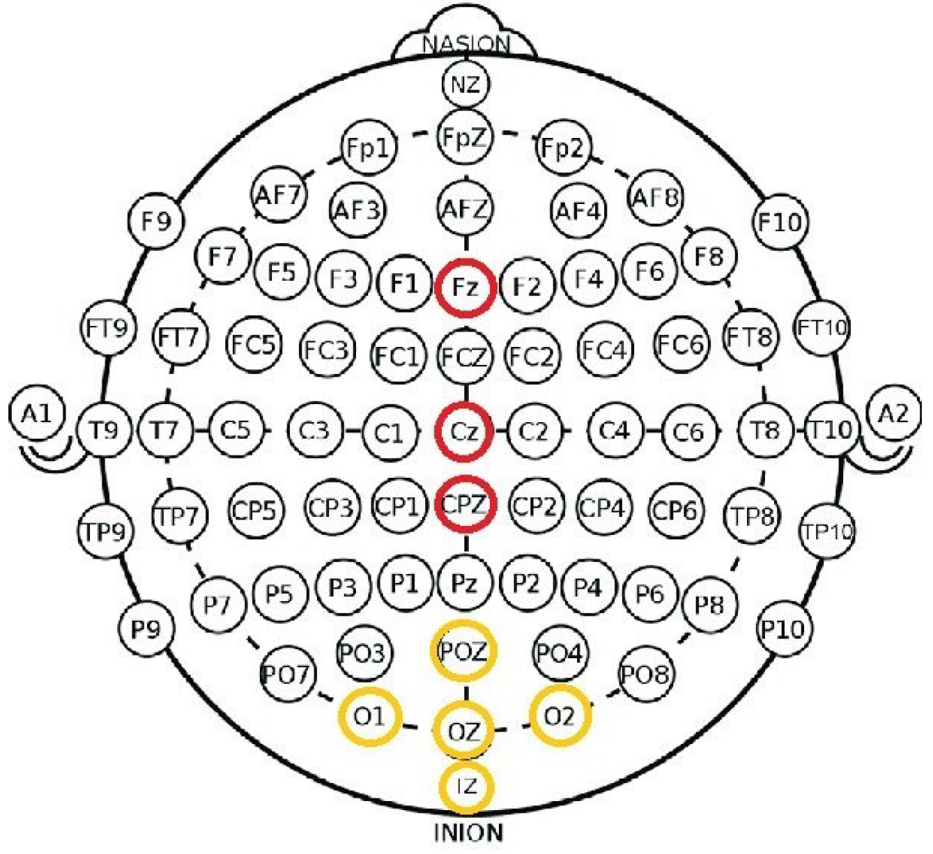Brainsci 15 00359 g004