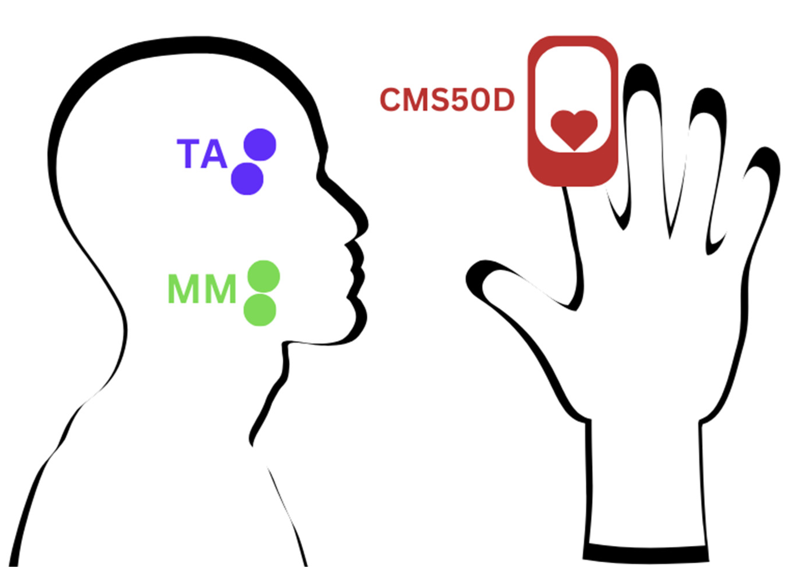 Brainsci 15 00361 g001 Brainsci 15 00361 g001