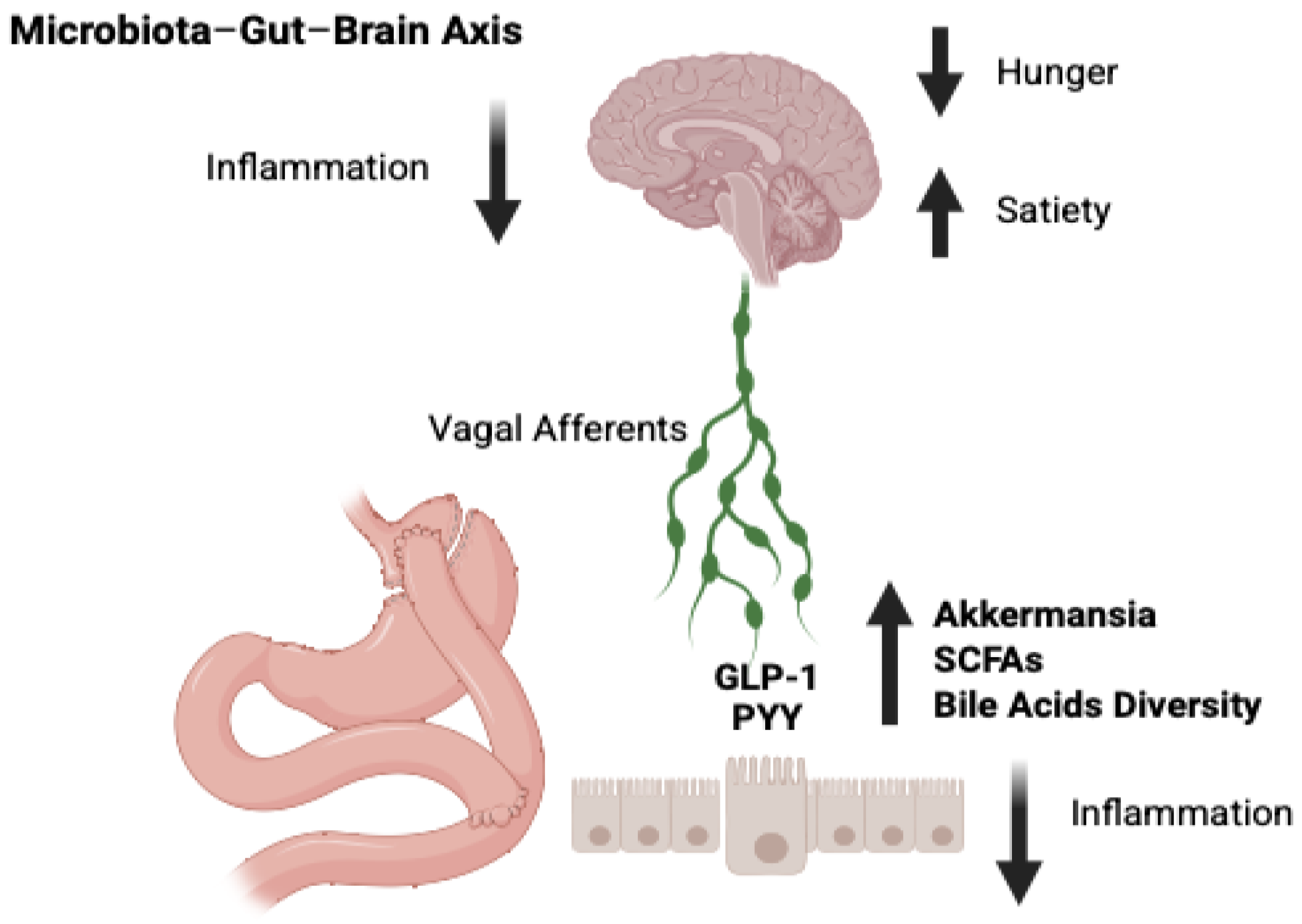 Brainsci 15 00363 g002