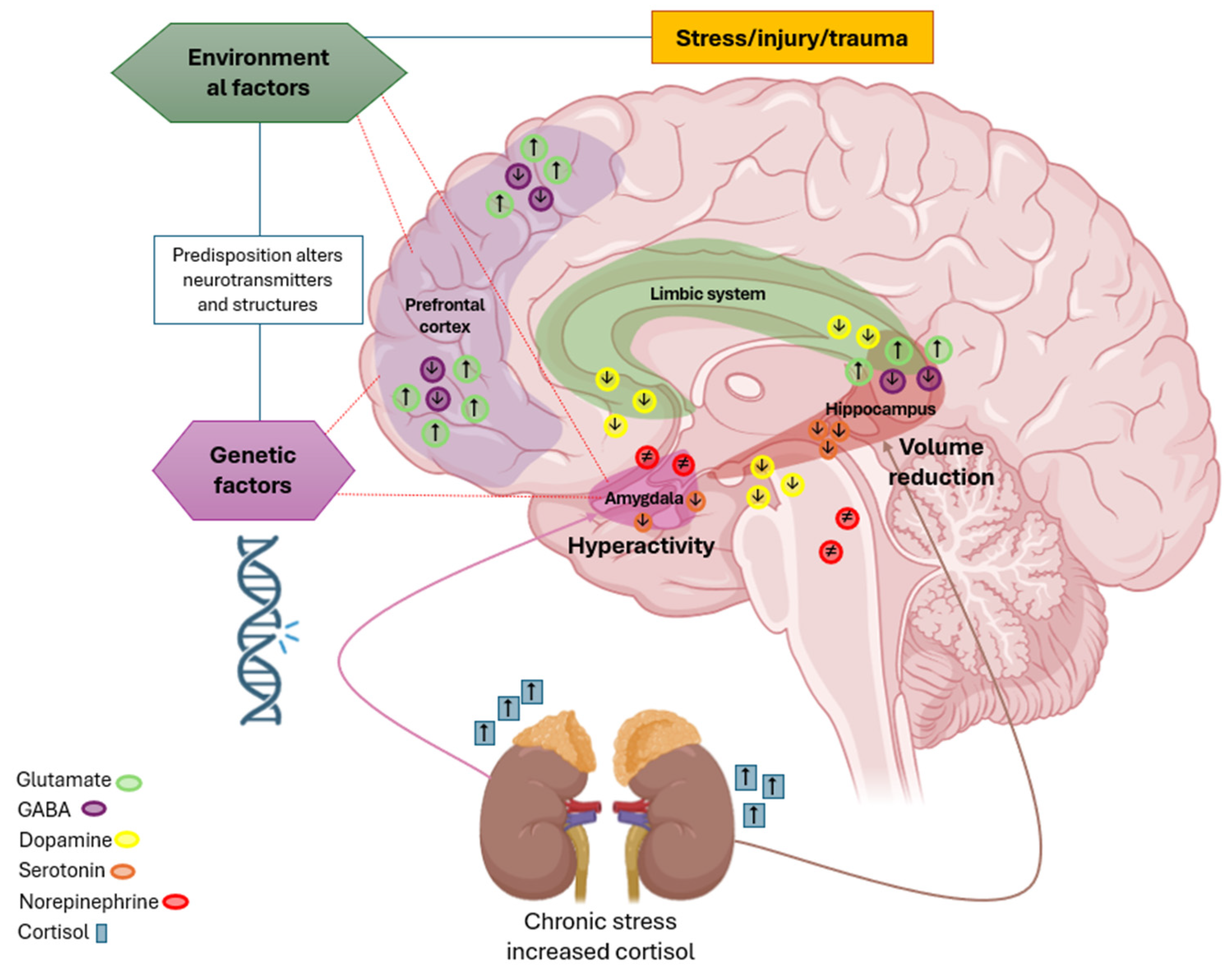 Brainsci 15 00366 g001