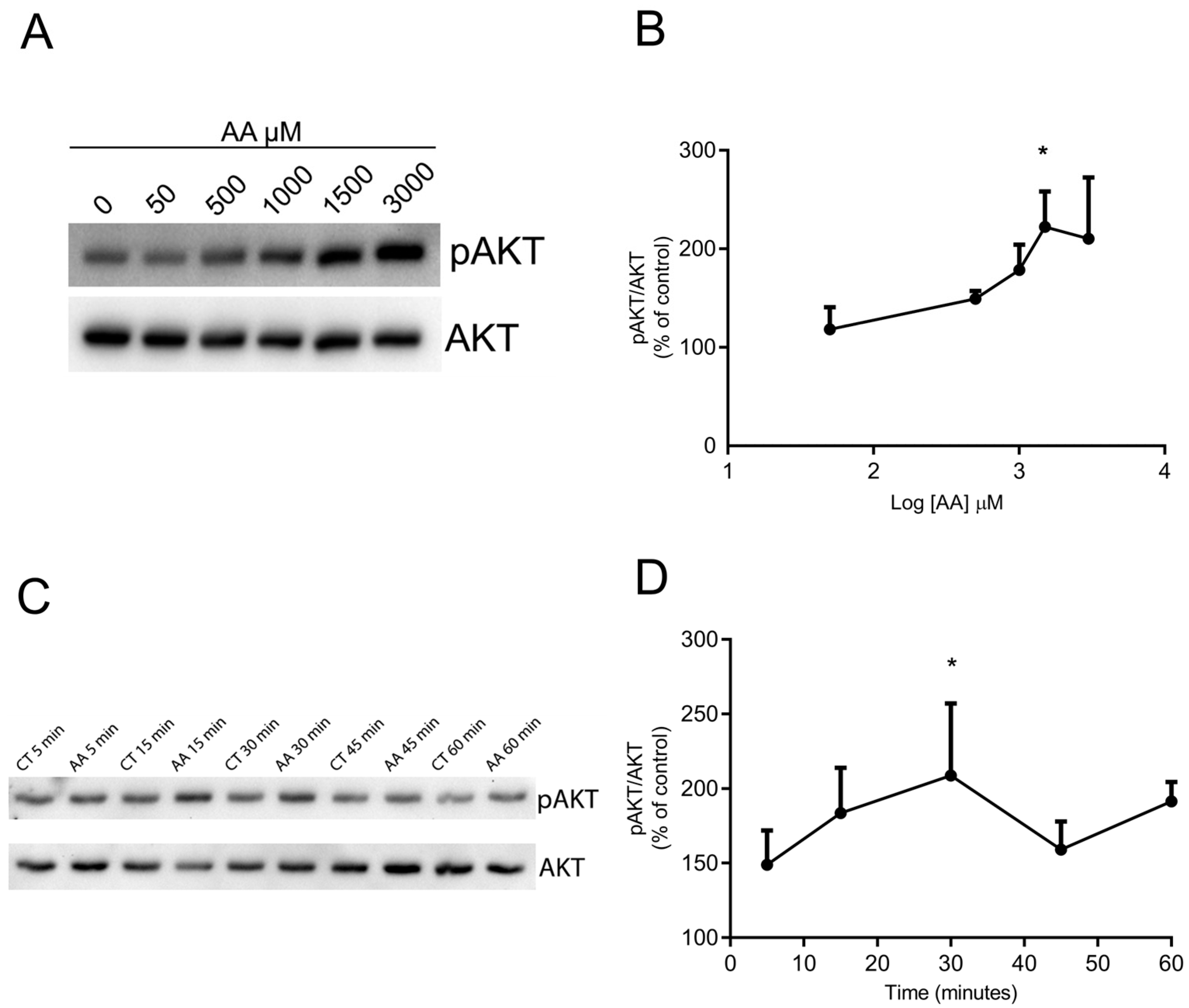 Brainsci 15 00369 g002