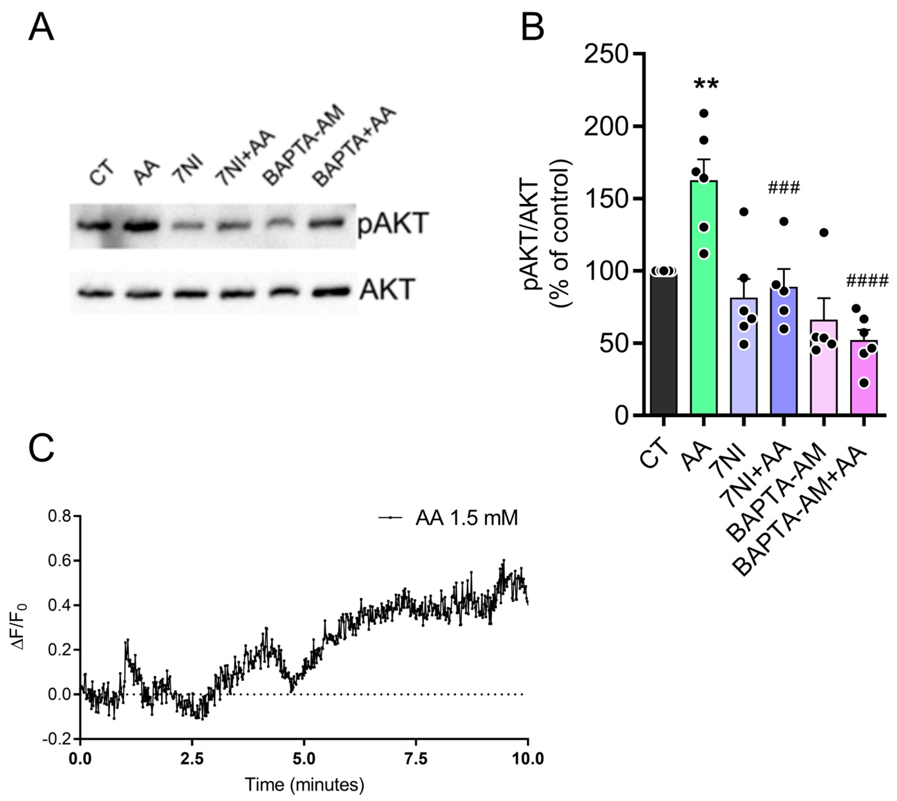 Brainsci 15 00369 g005