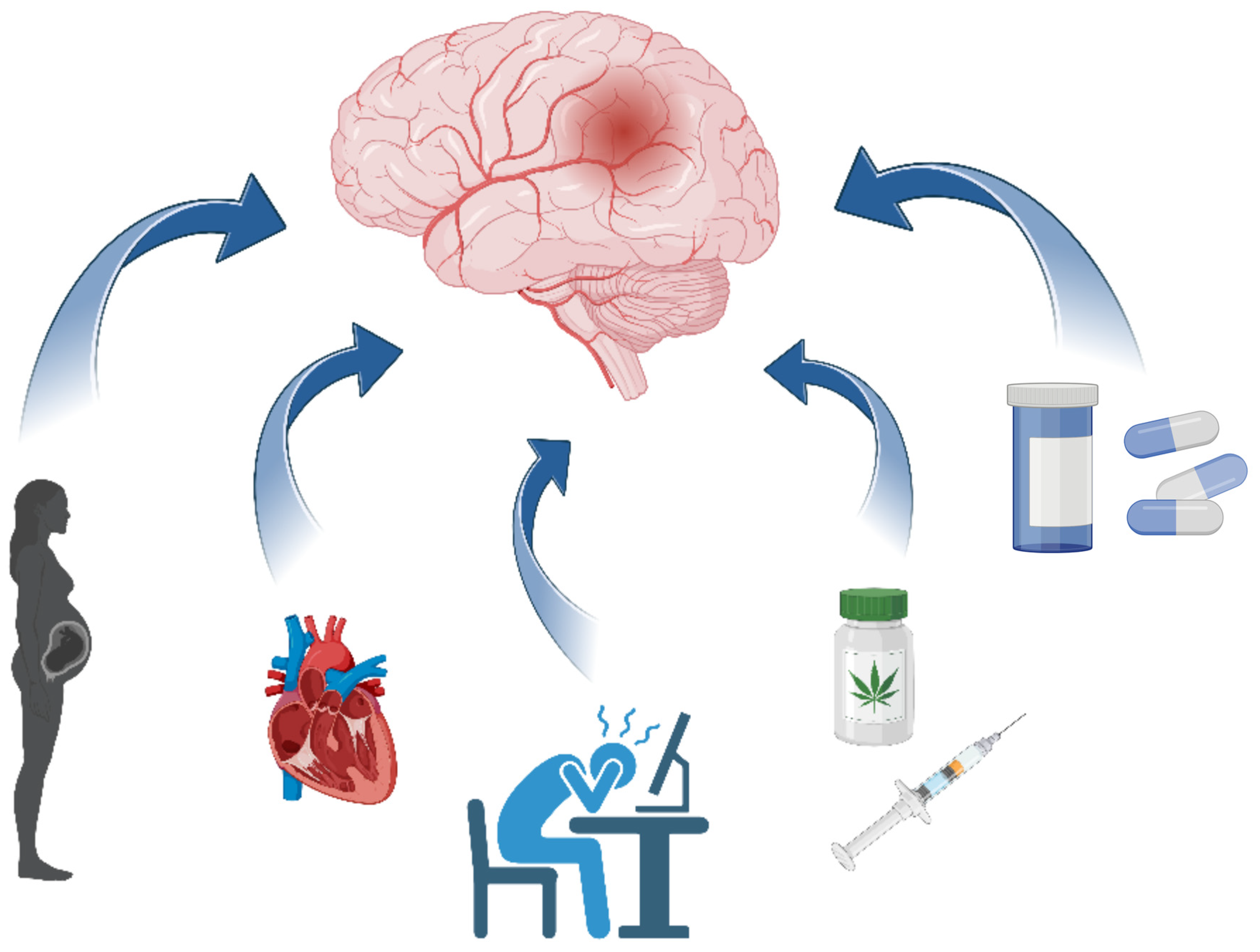 Brainsci 15 00375 g001