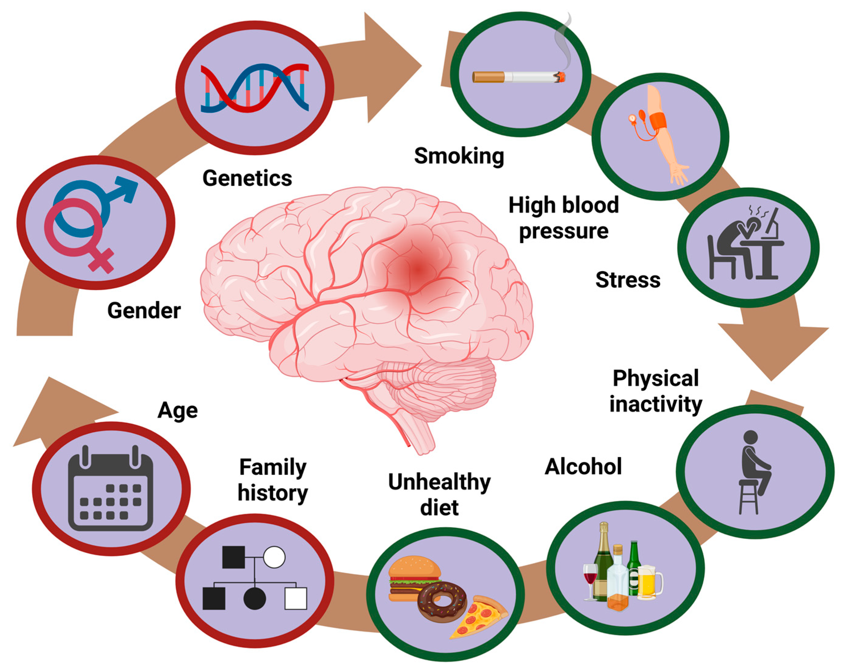 Brainsci 15 00375 g003