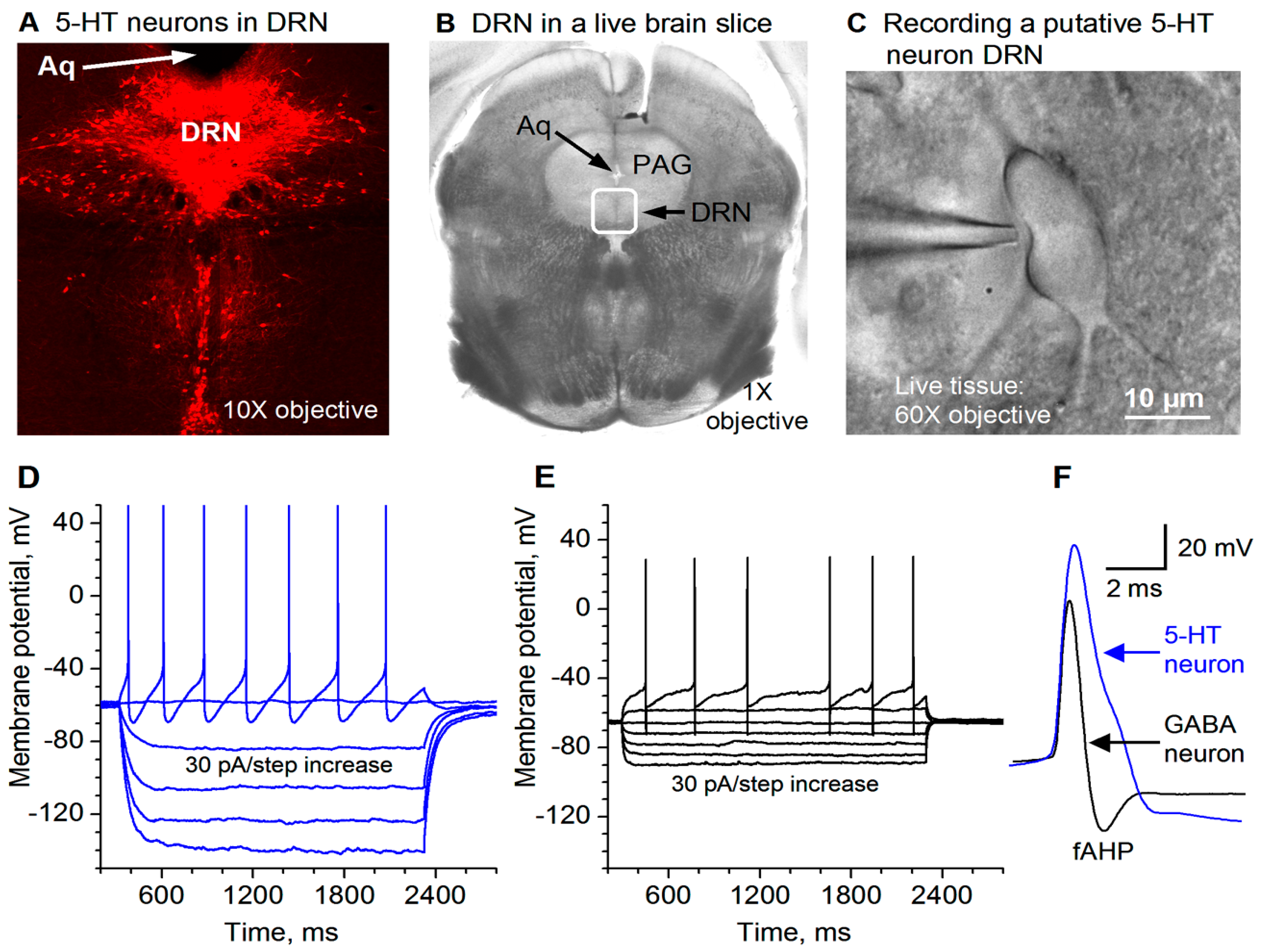 Brainsci 15 00384 g001 Brainsci 15 00384 g001