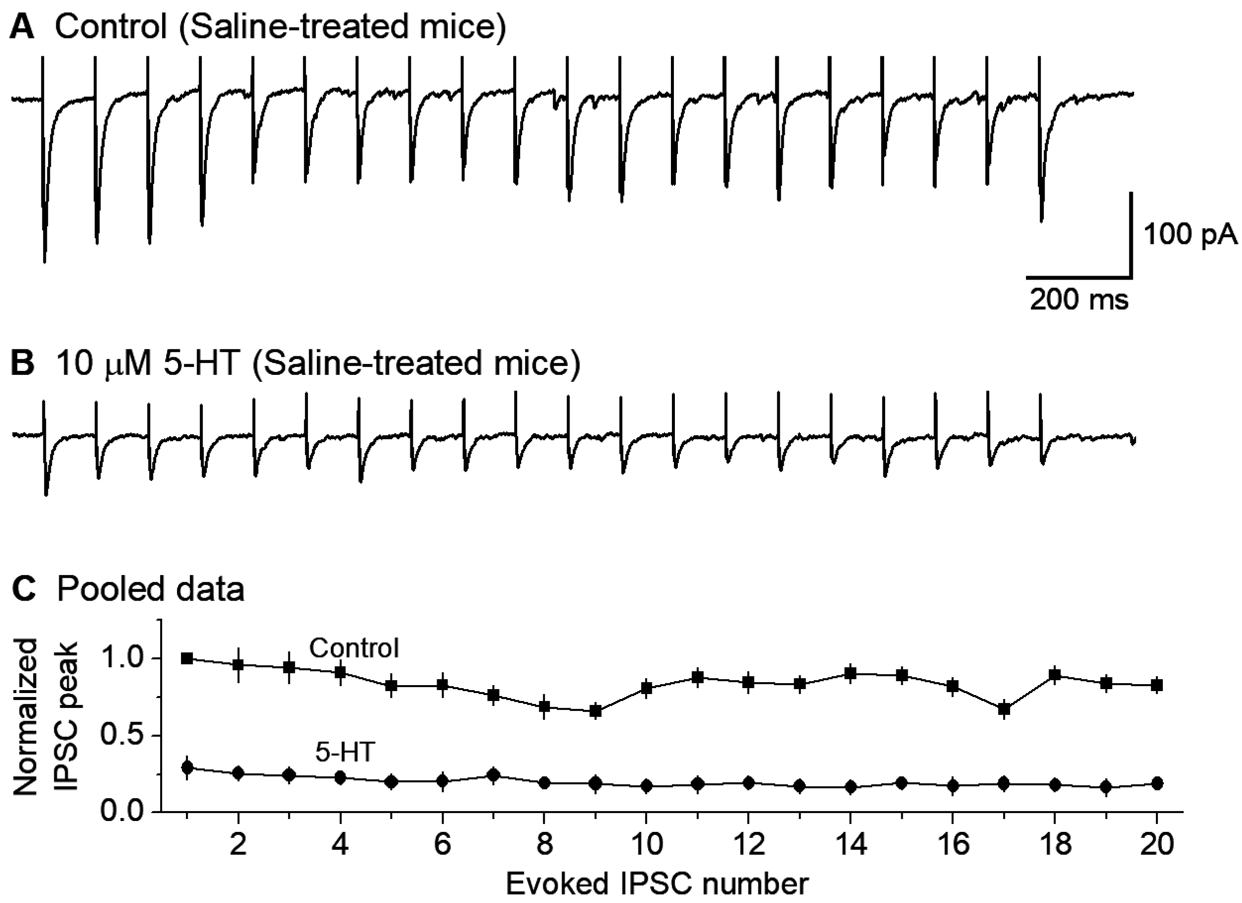Brainsci 15 00384 g003 Brainsci 15 00384 g003