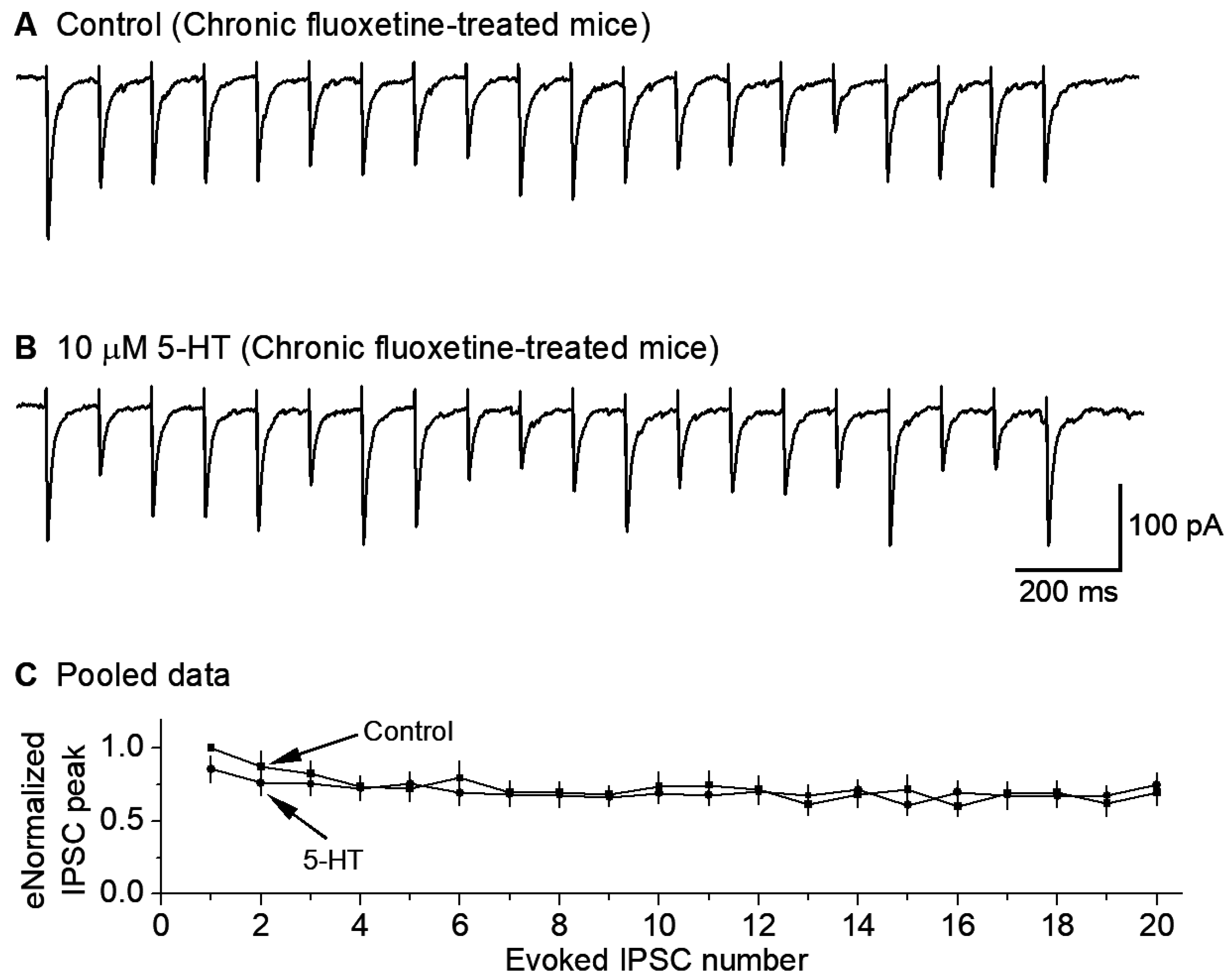 Brainsci 15 00384 g005 Brainsci 15 00384 g005