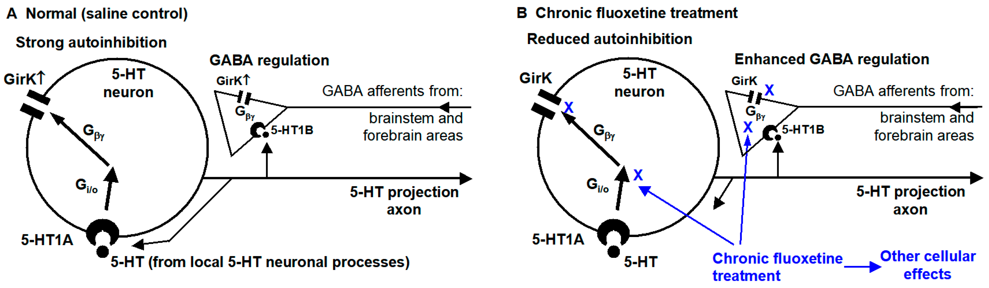 Brainsci 15 00384 g007 Brainsci 15 00384 g007