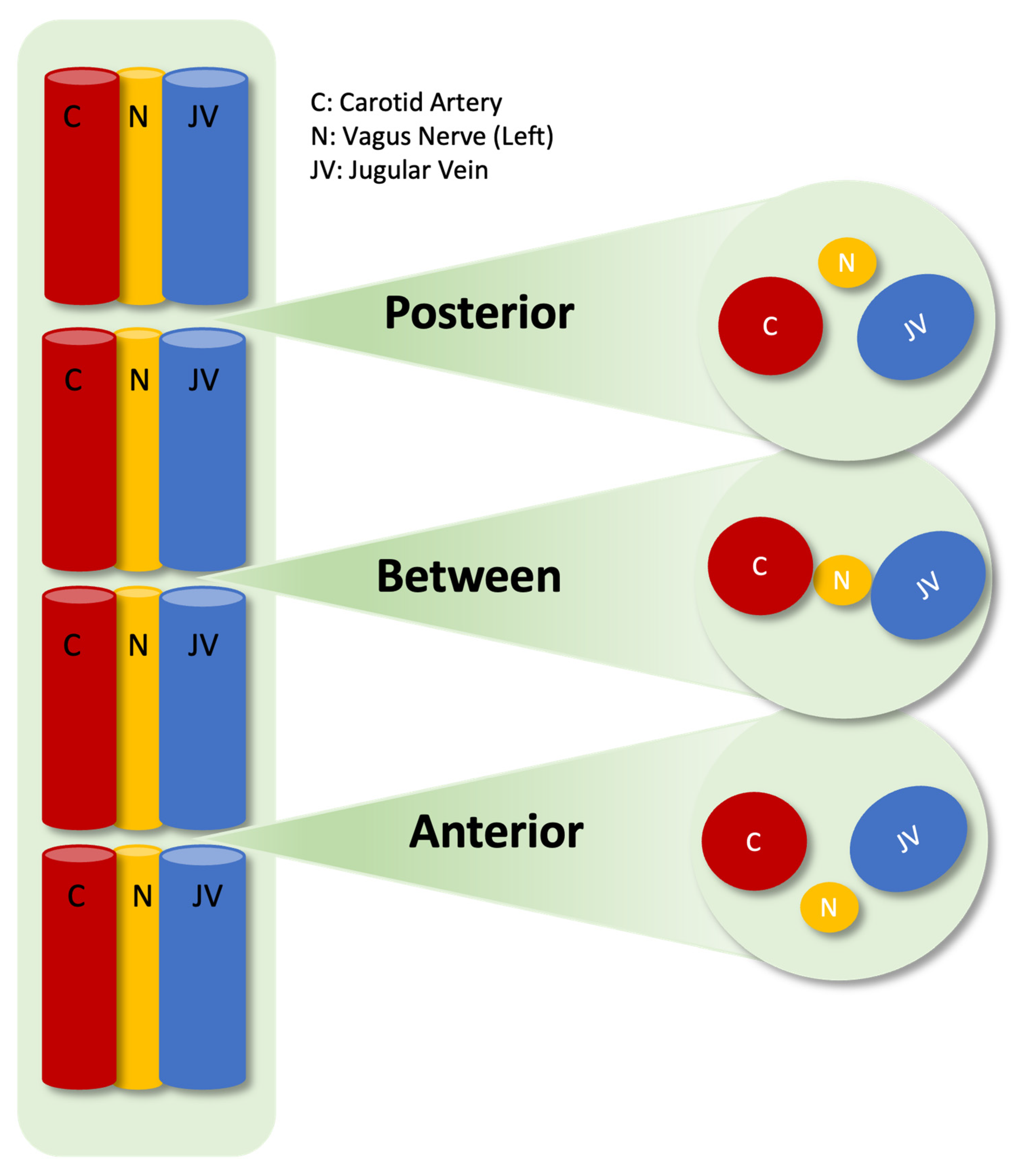 Brainsci 15 00385 g001 Brainsci 15 00385 g001