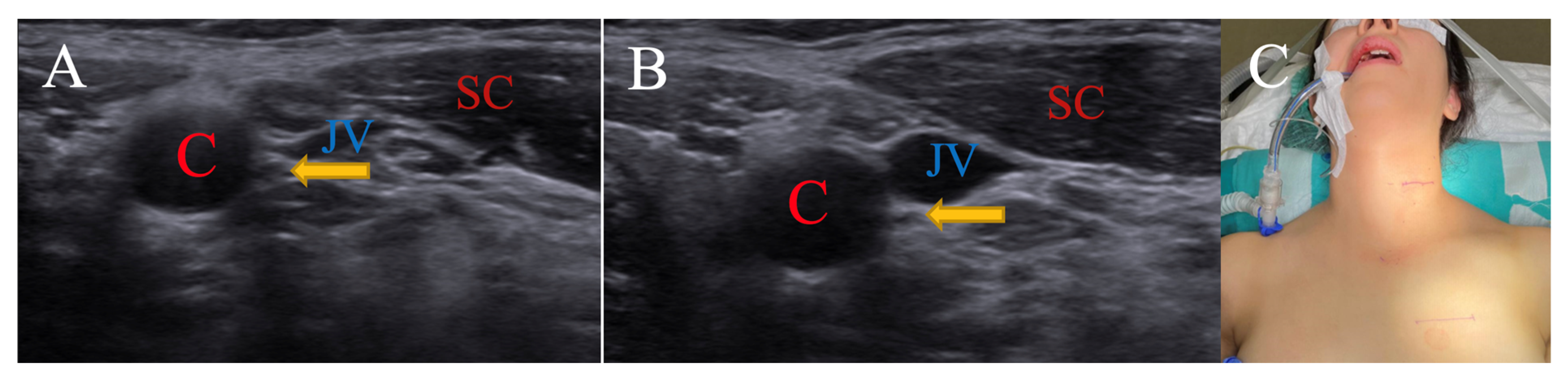 Brainsci 15 00385 g003 Brainsci 15 00385 g003