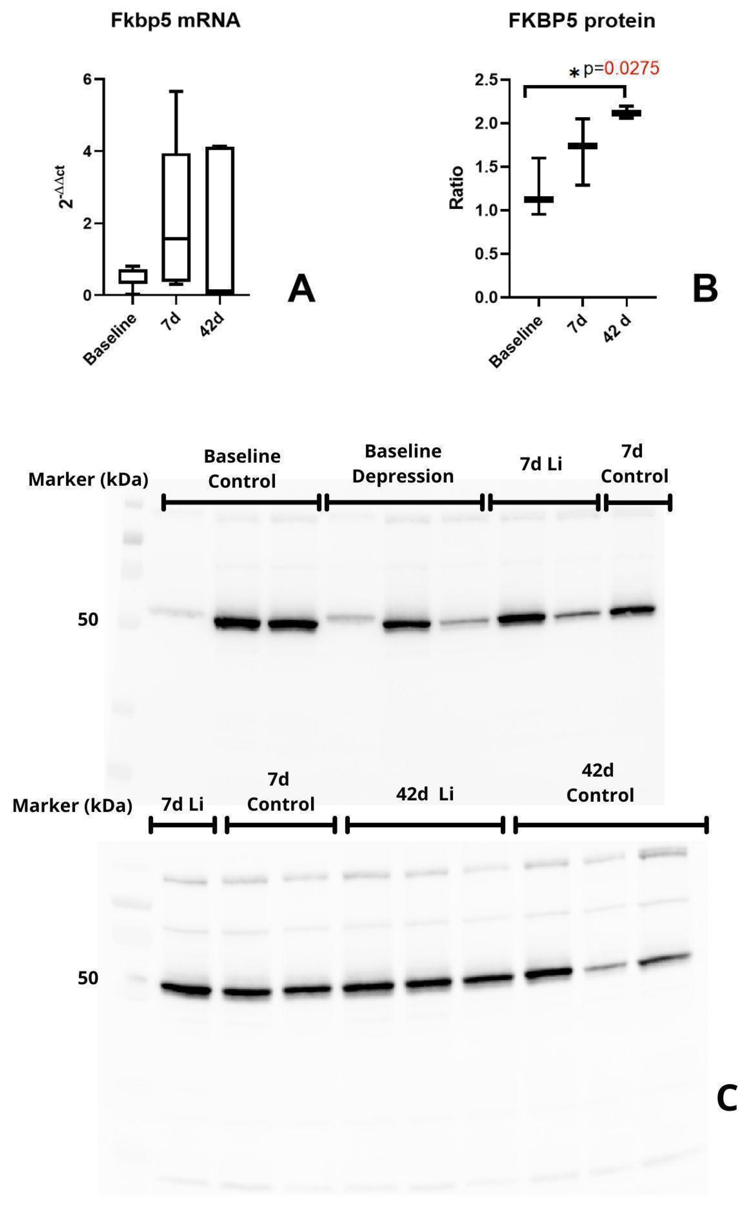 Brainsci 15 00389 g004
