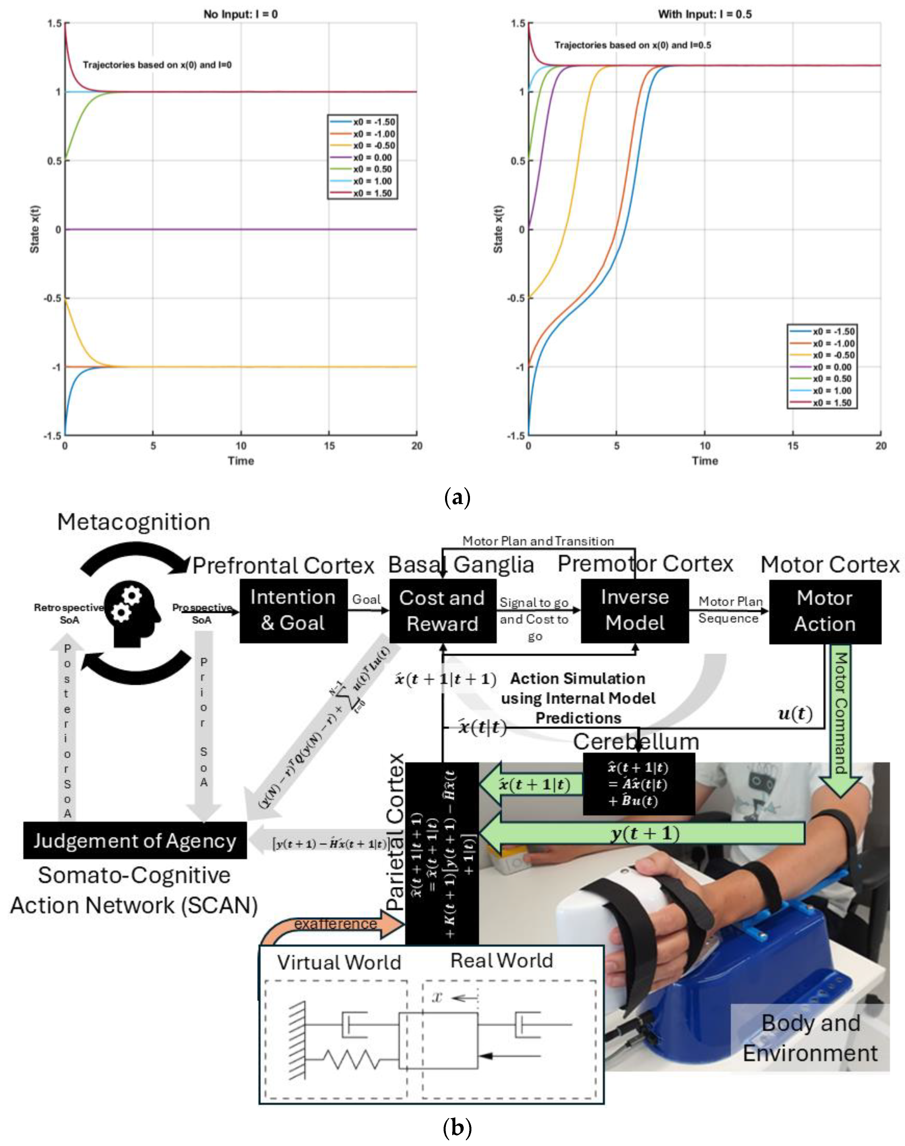 Brainsci 15 00396 g002