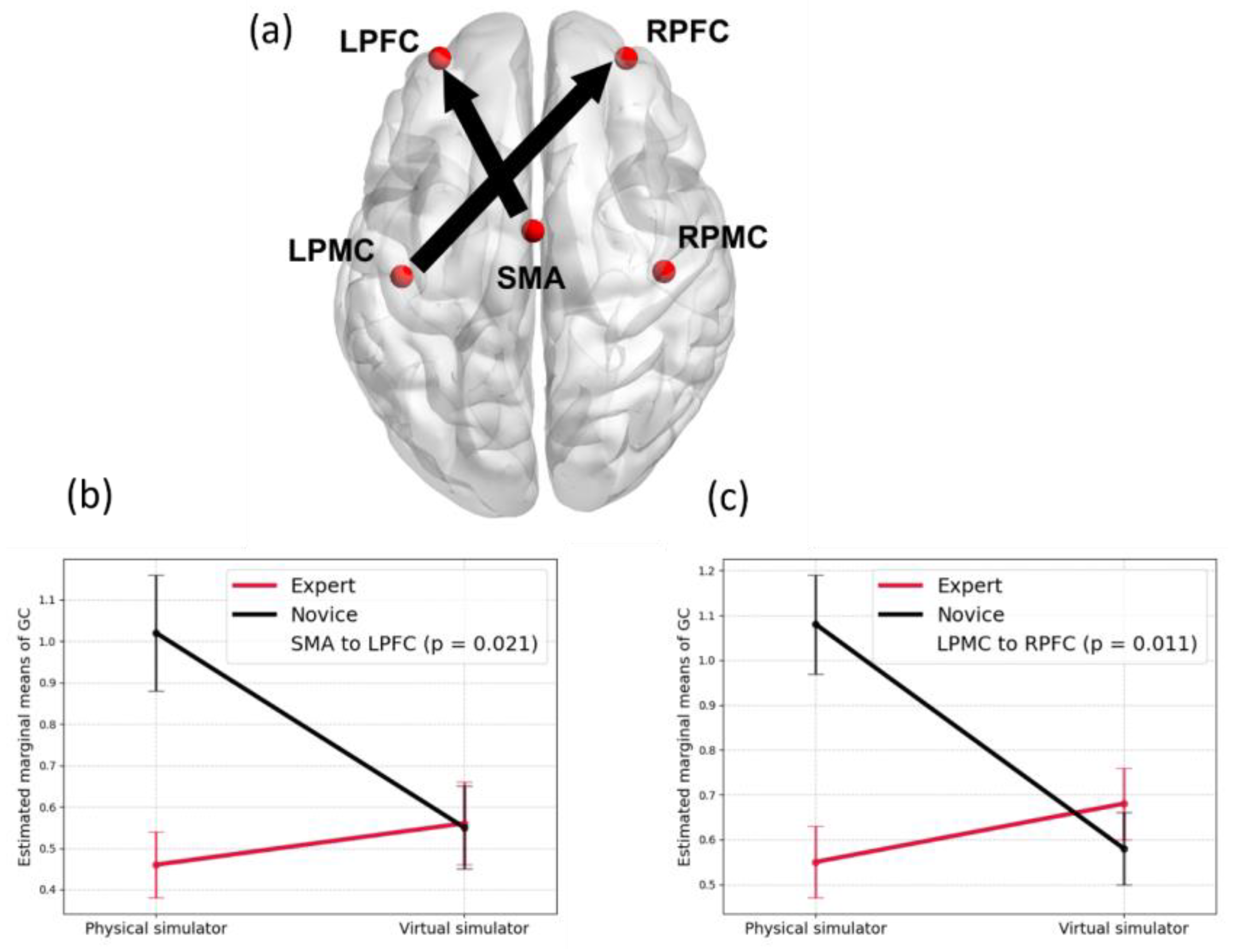 Brainsci 15 00396 g005