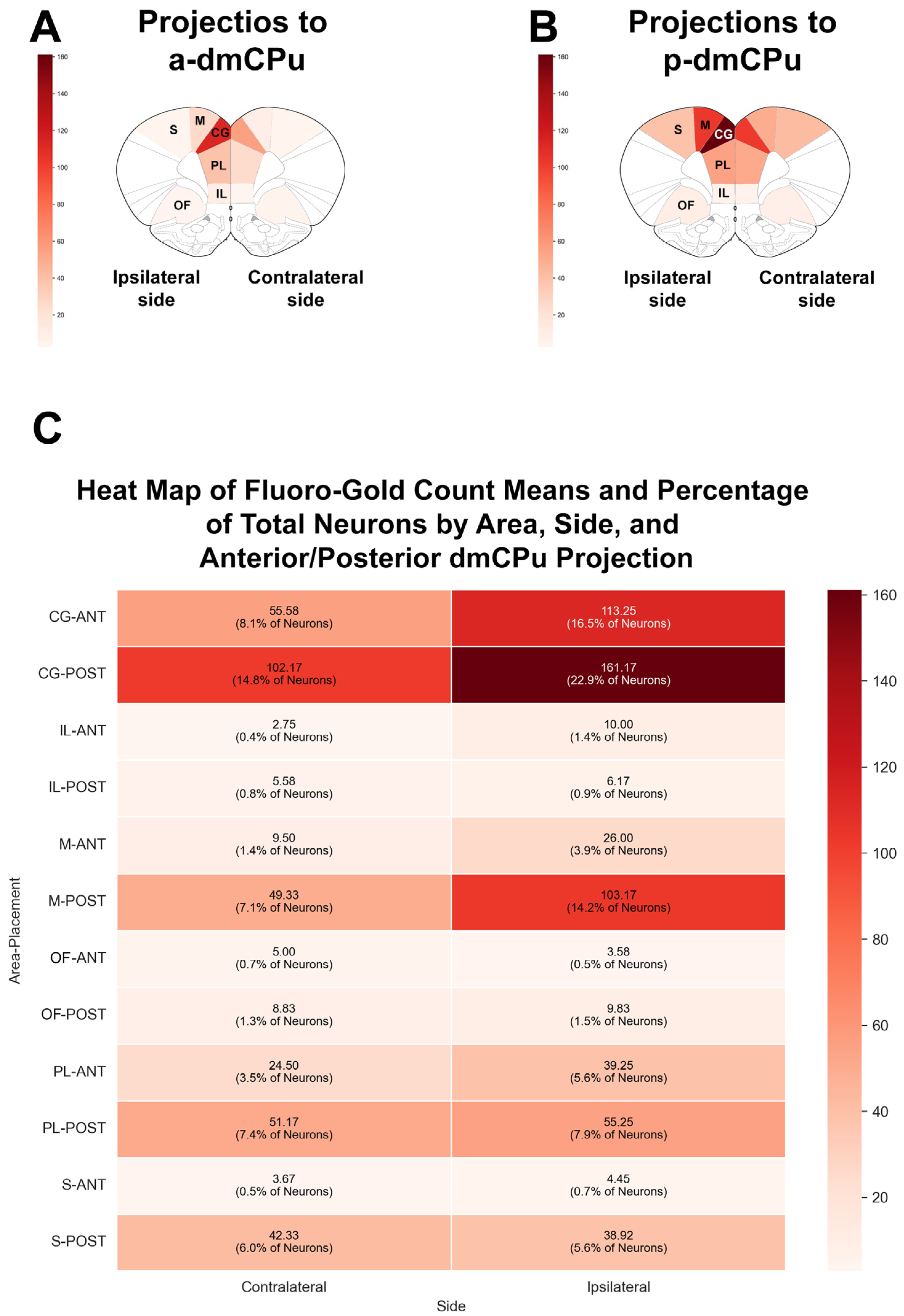 Brainsci 15 00398 g003