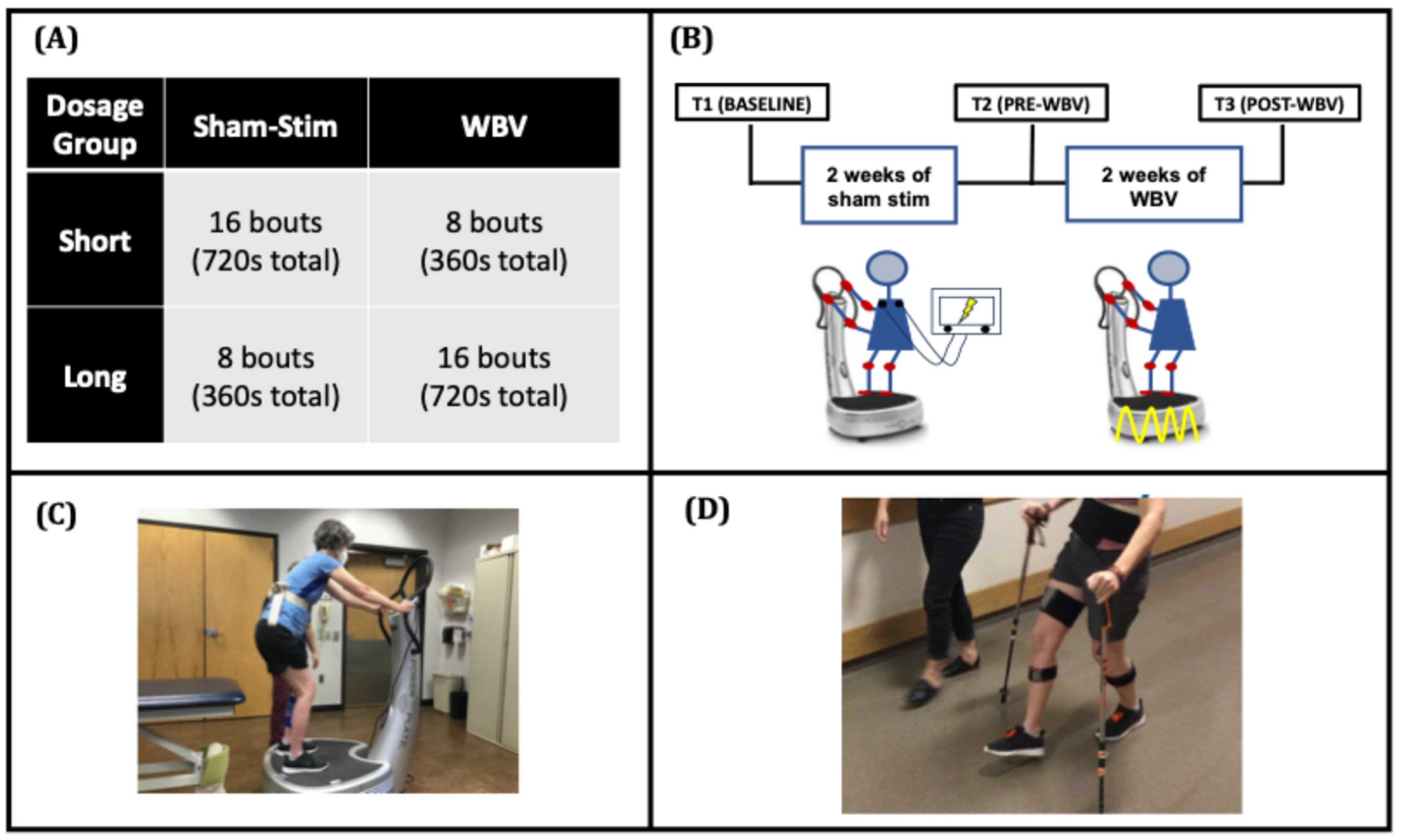 Brainsci 15 00405 g001