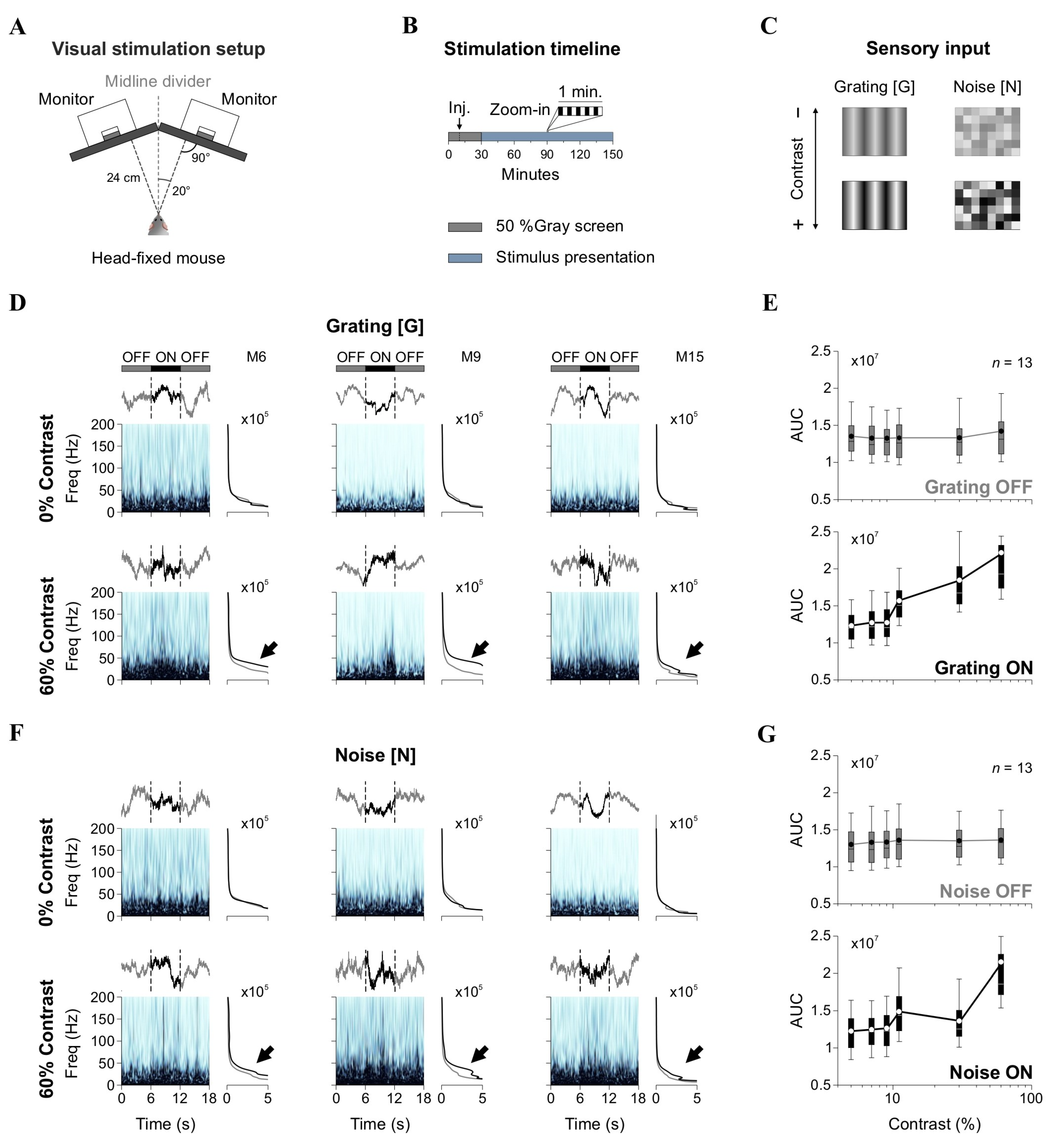Brainsci 15 00406 g001