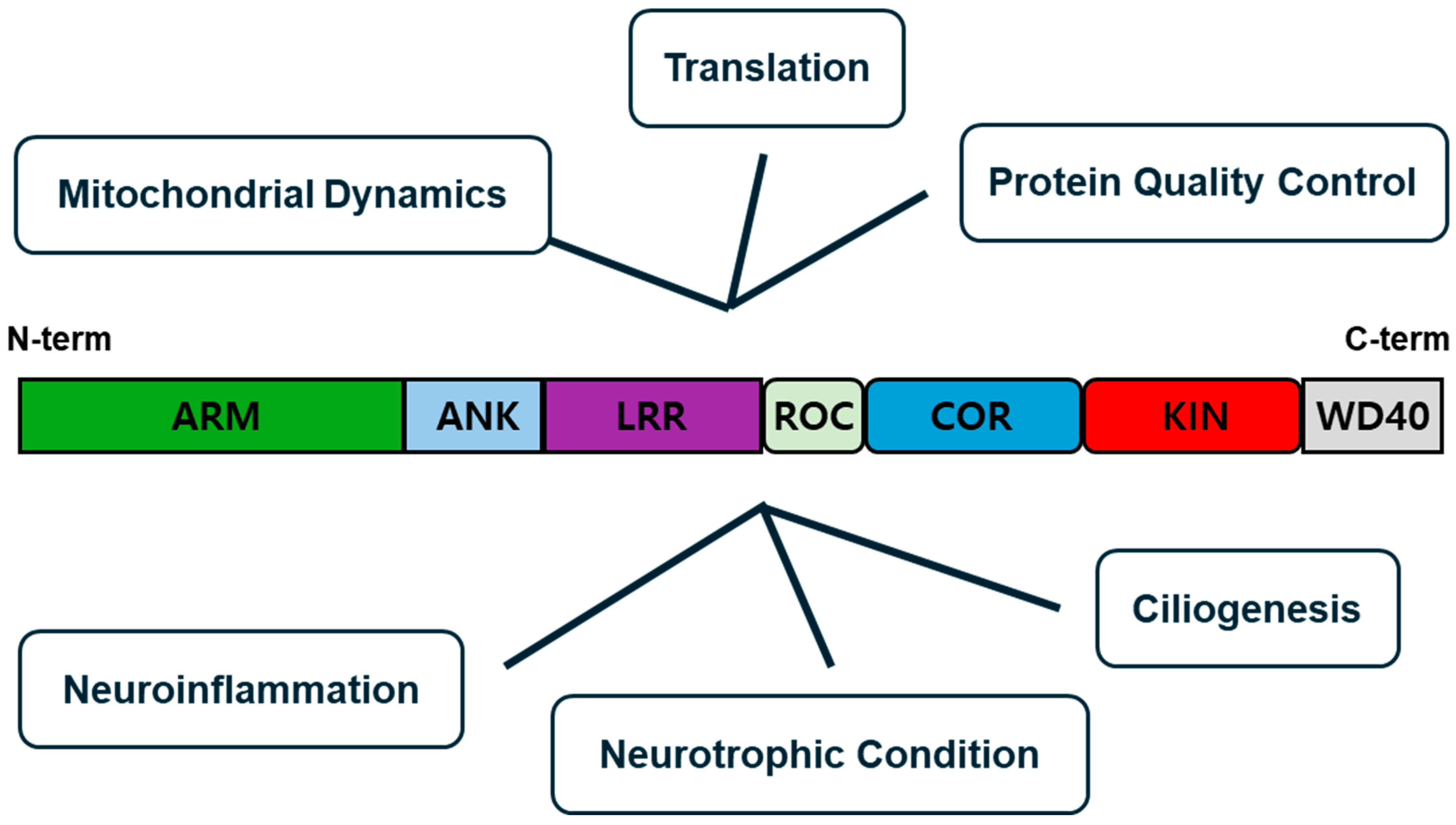 Brainsci 15 00407 g001
