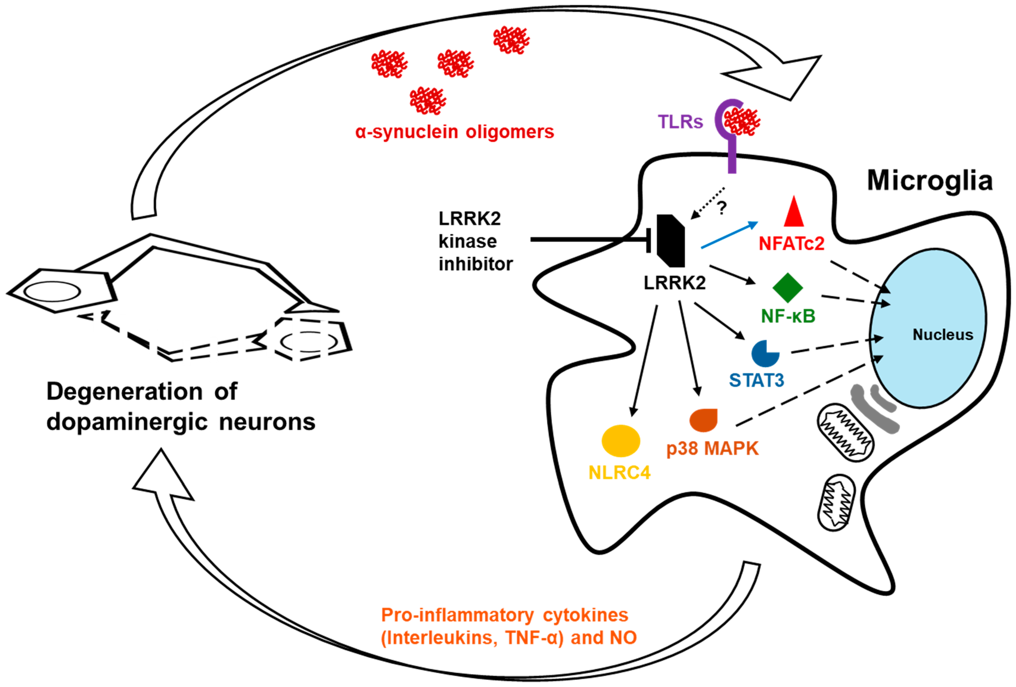 Brainsci 15 00407 g005