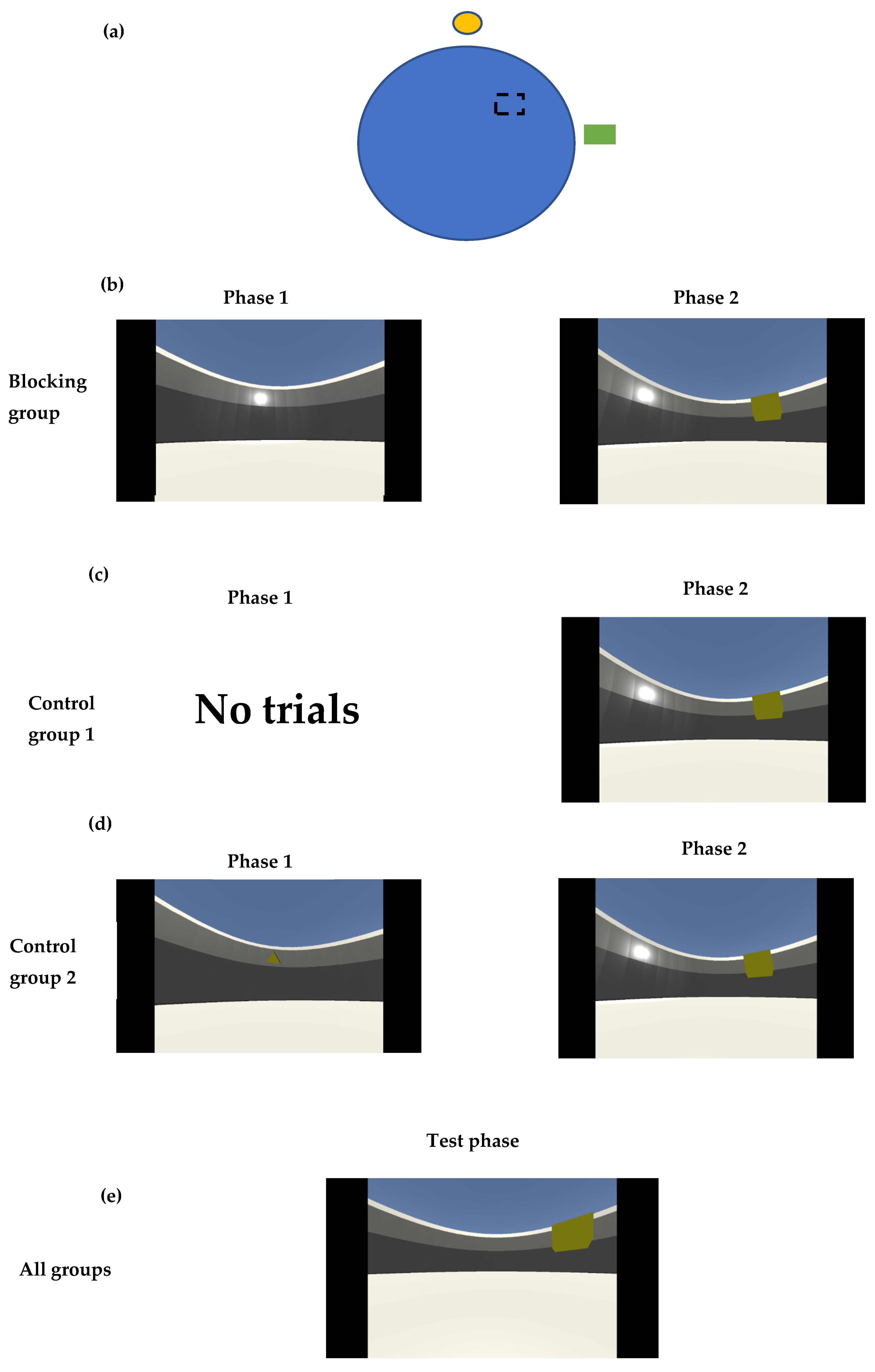 Brainsci 15 00414 g001