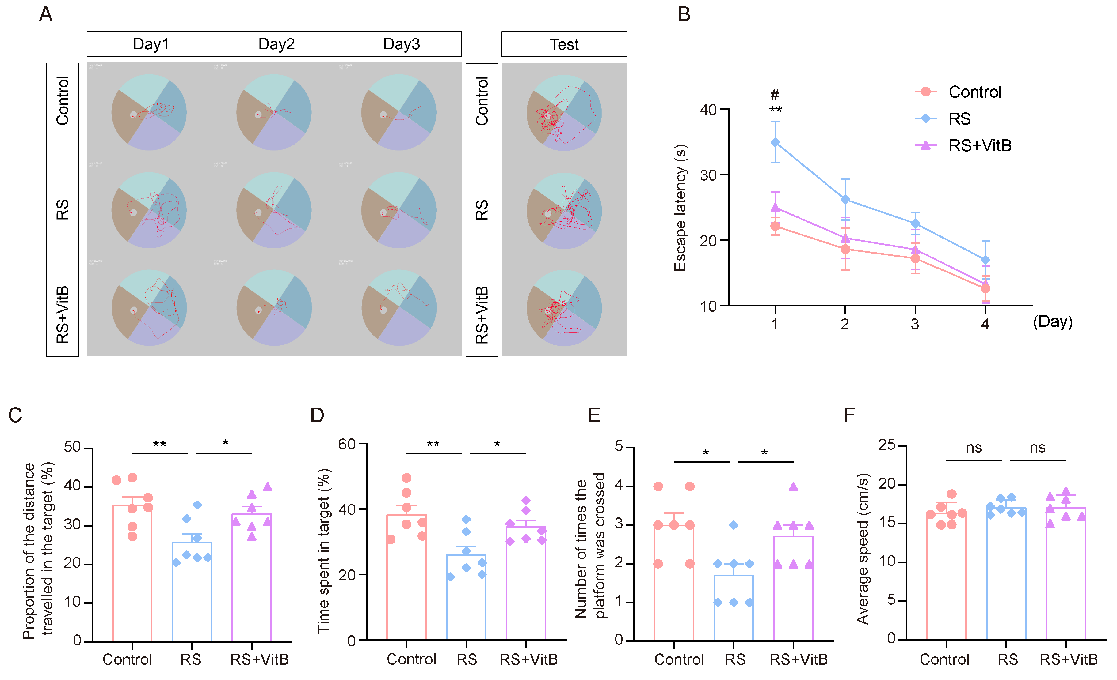 Brainsci 15 00416 g006