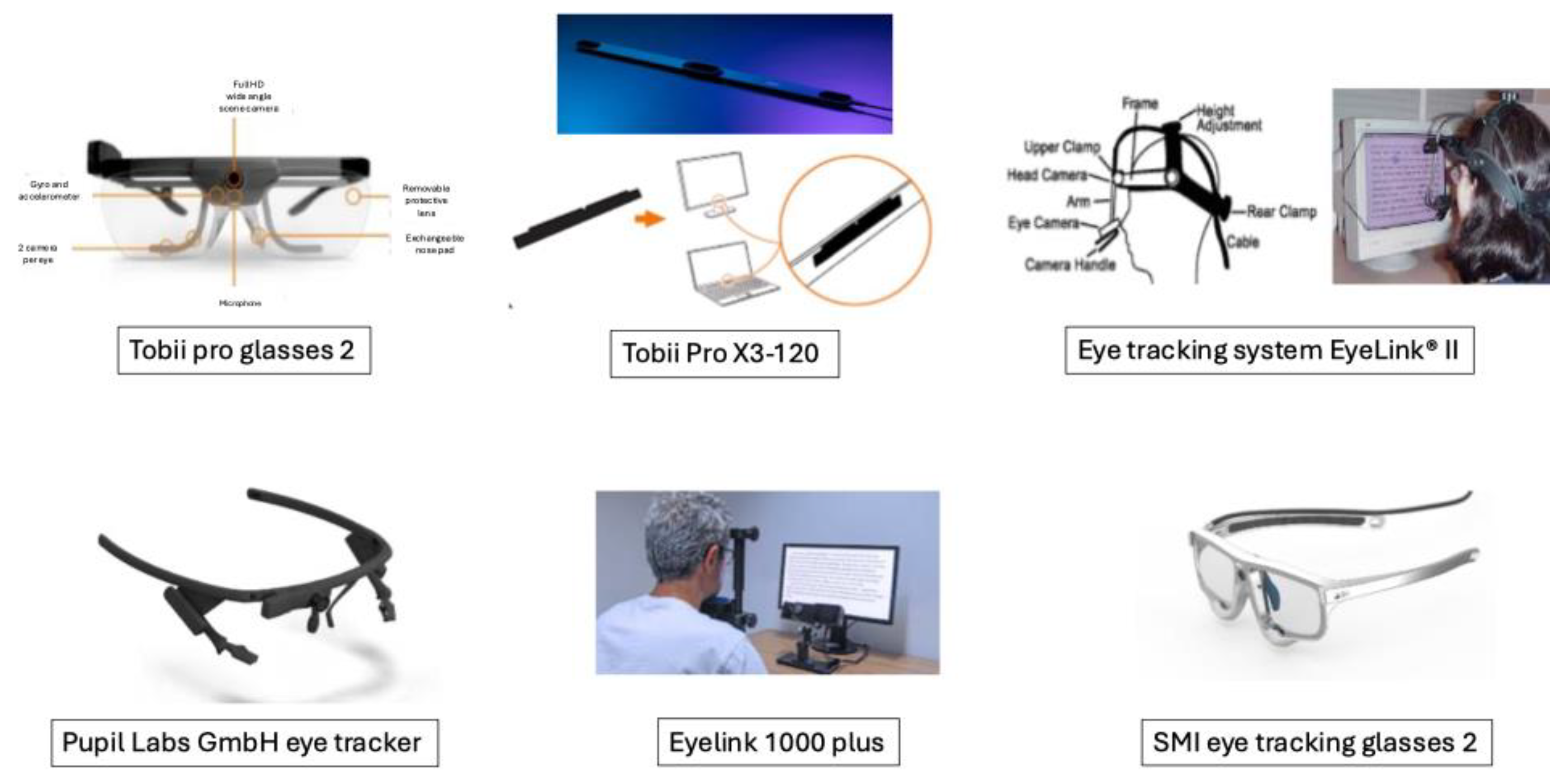 Brainsci 15 00421 g001