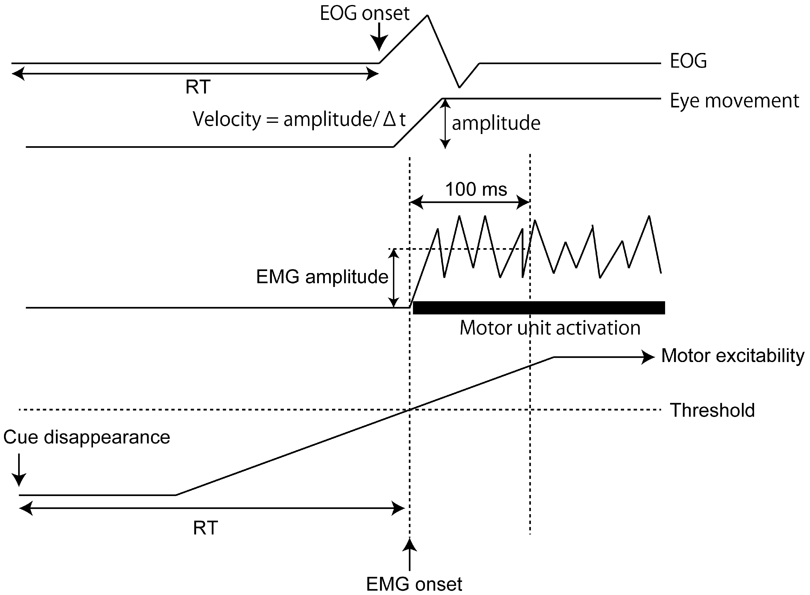 Brainsci 15 00422 g002