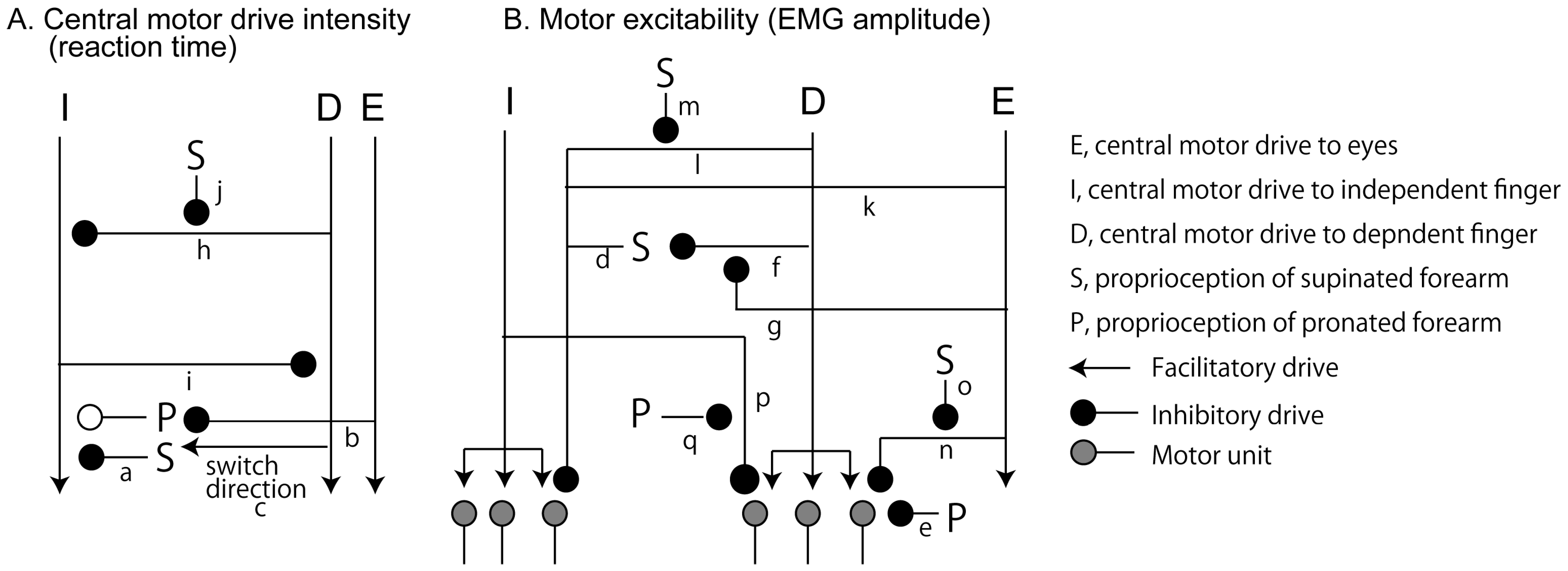Brainsci 15 00422 g007