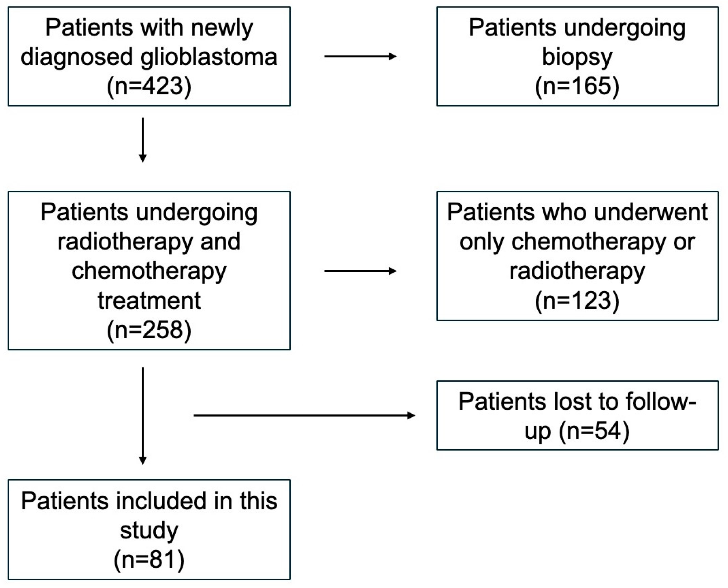 Brainsci 15 00428 g001