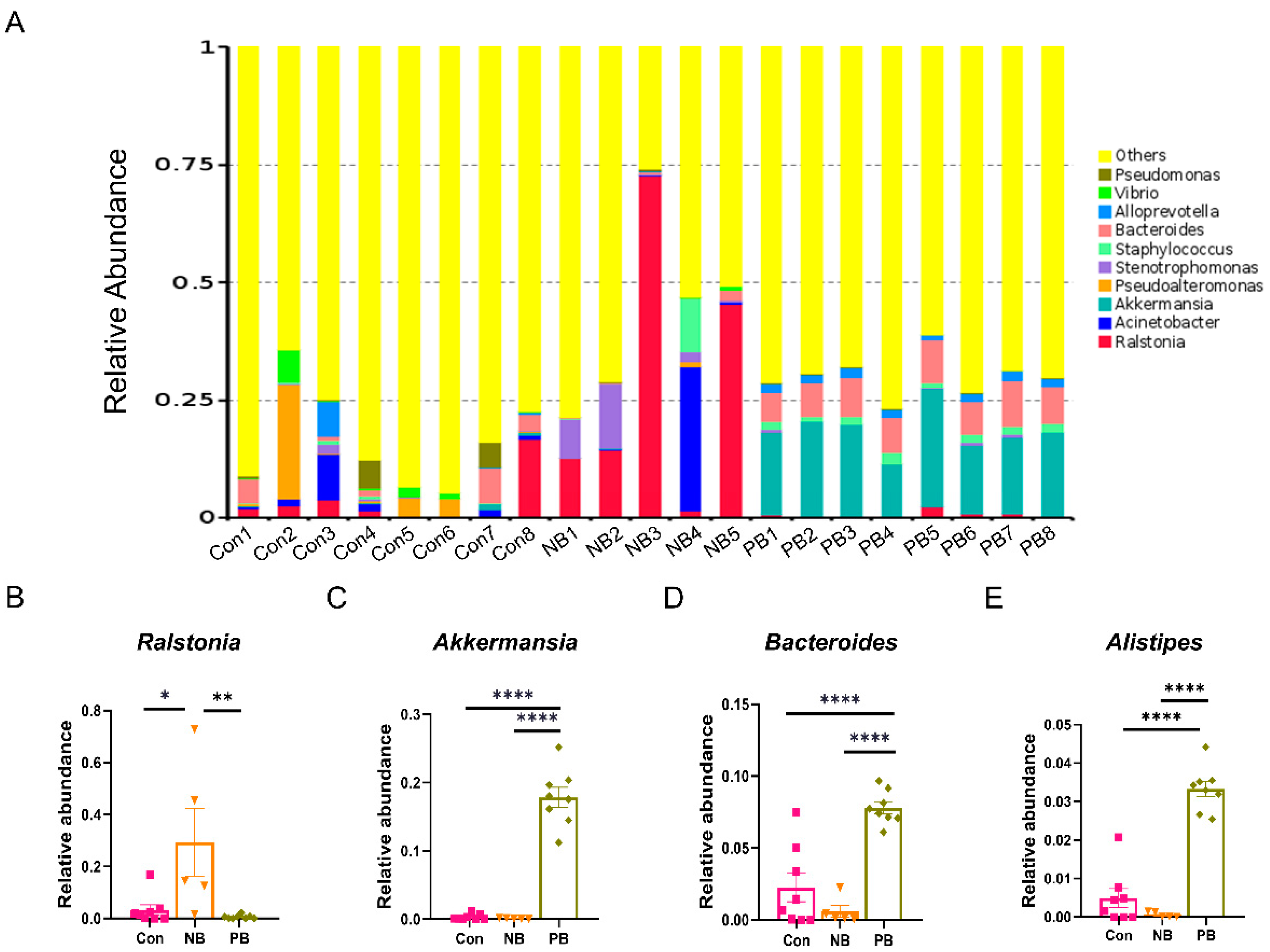 Brainsci 15 00433 g003