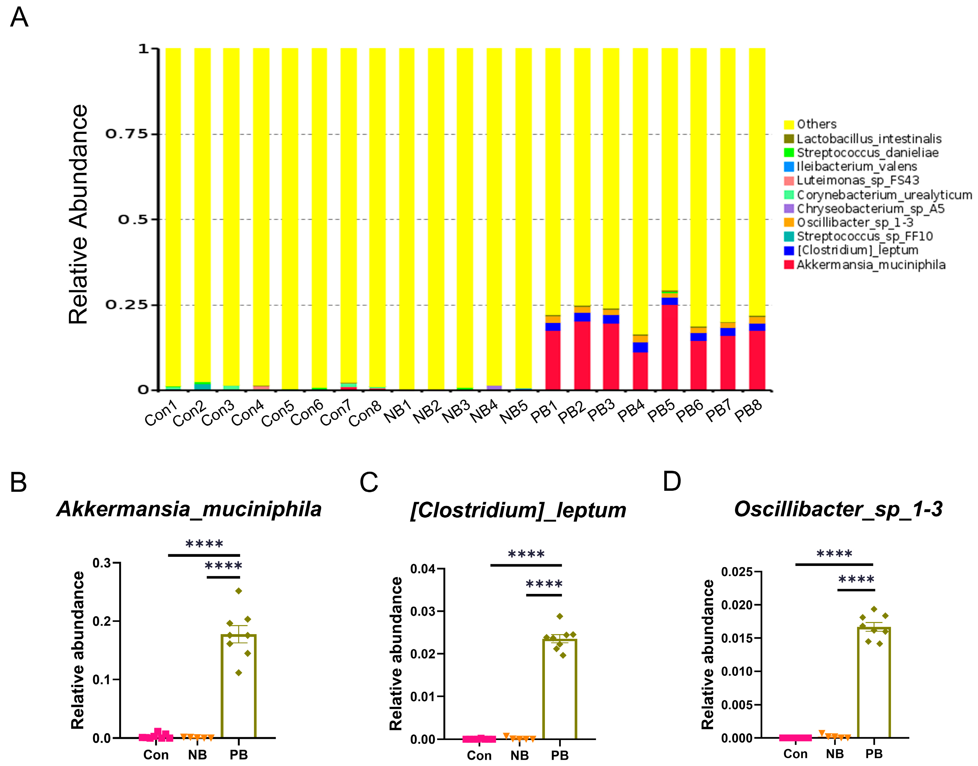 Brainsci 15 00433 g004
