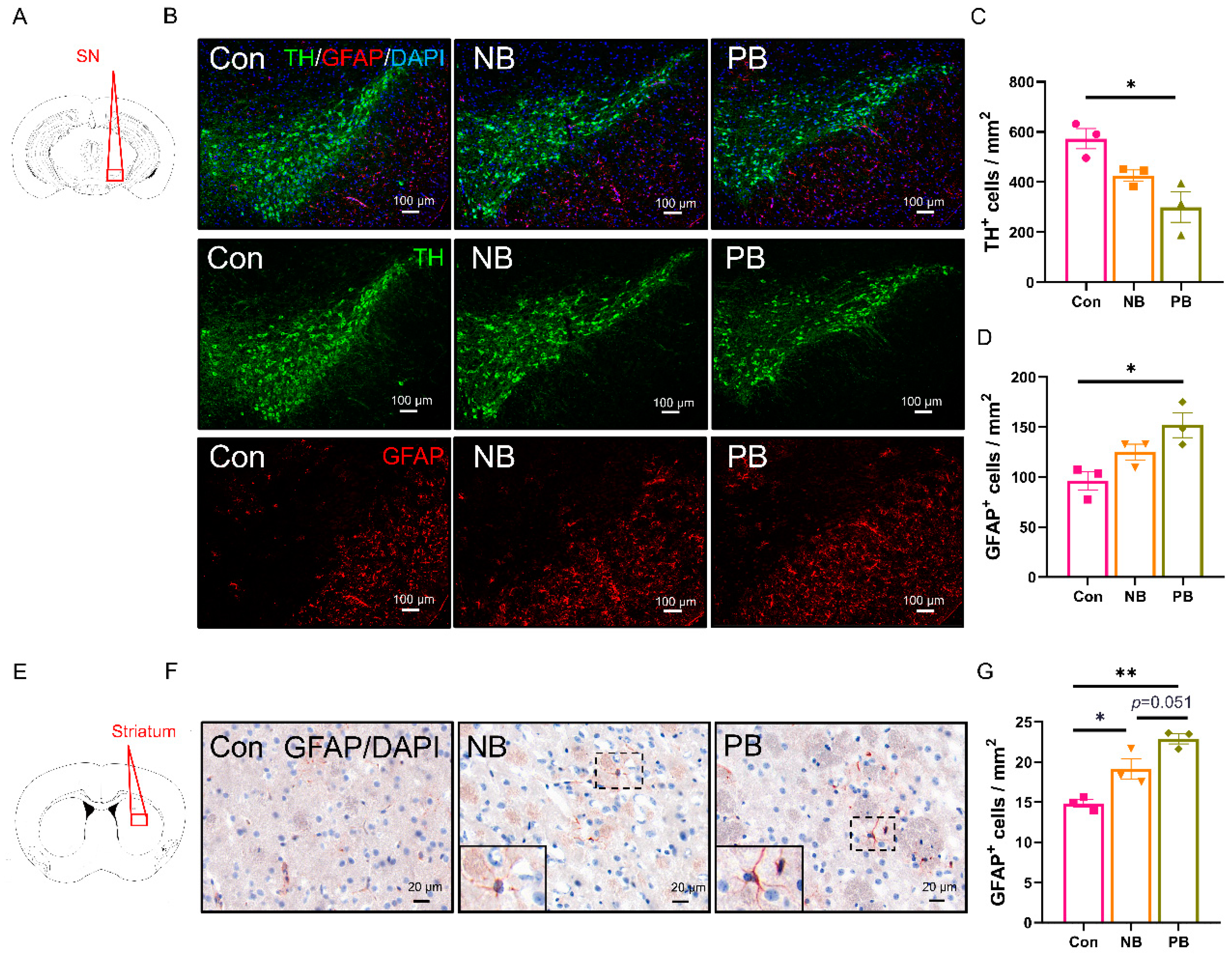 Brainsci 15 00433 g008
