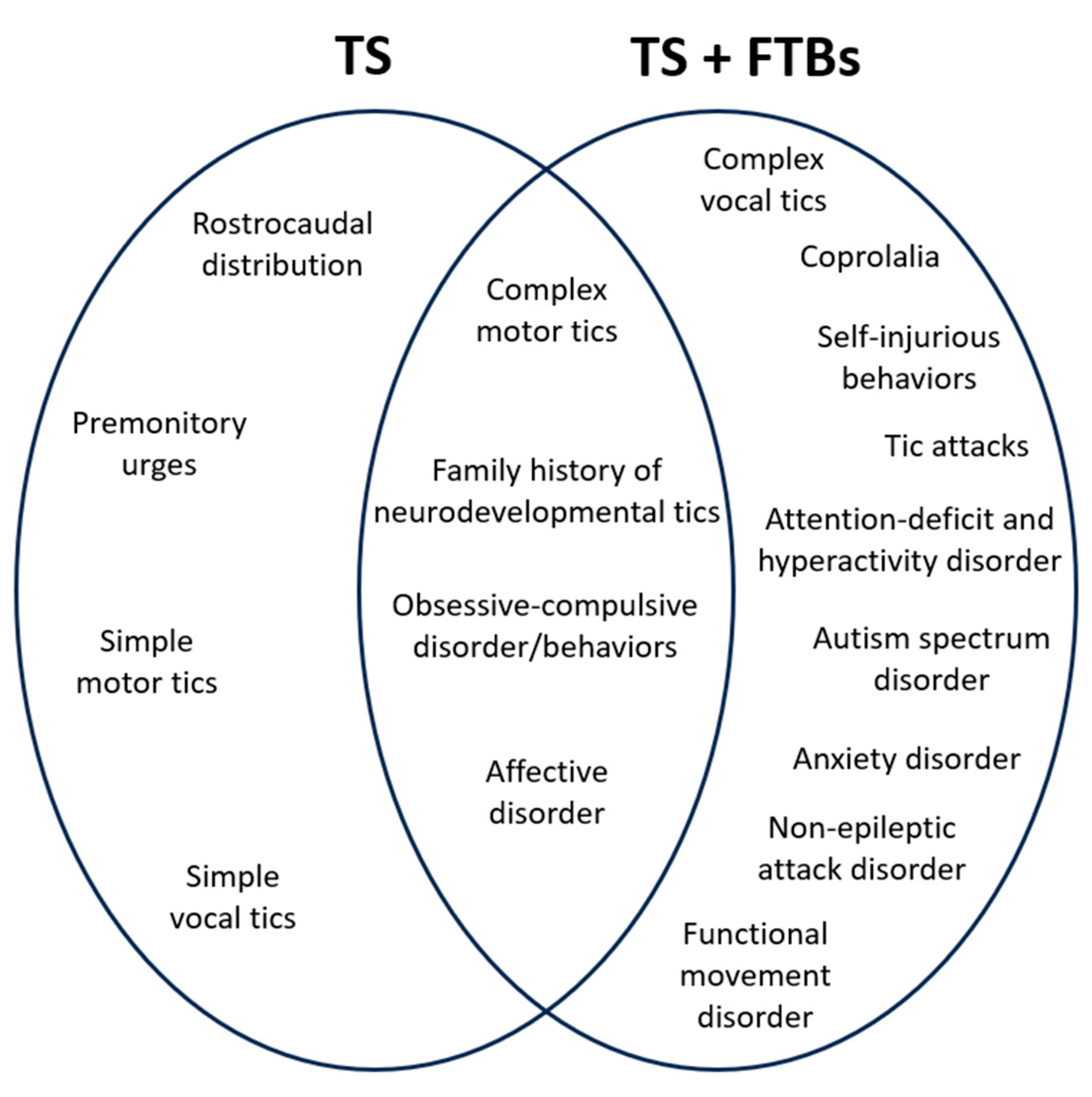 Brainsci 15 00435 g001