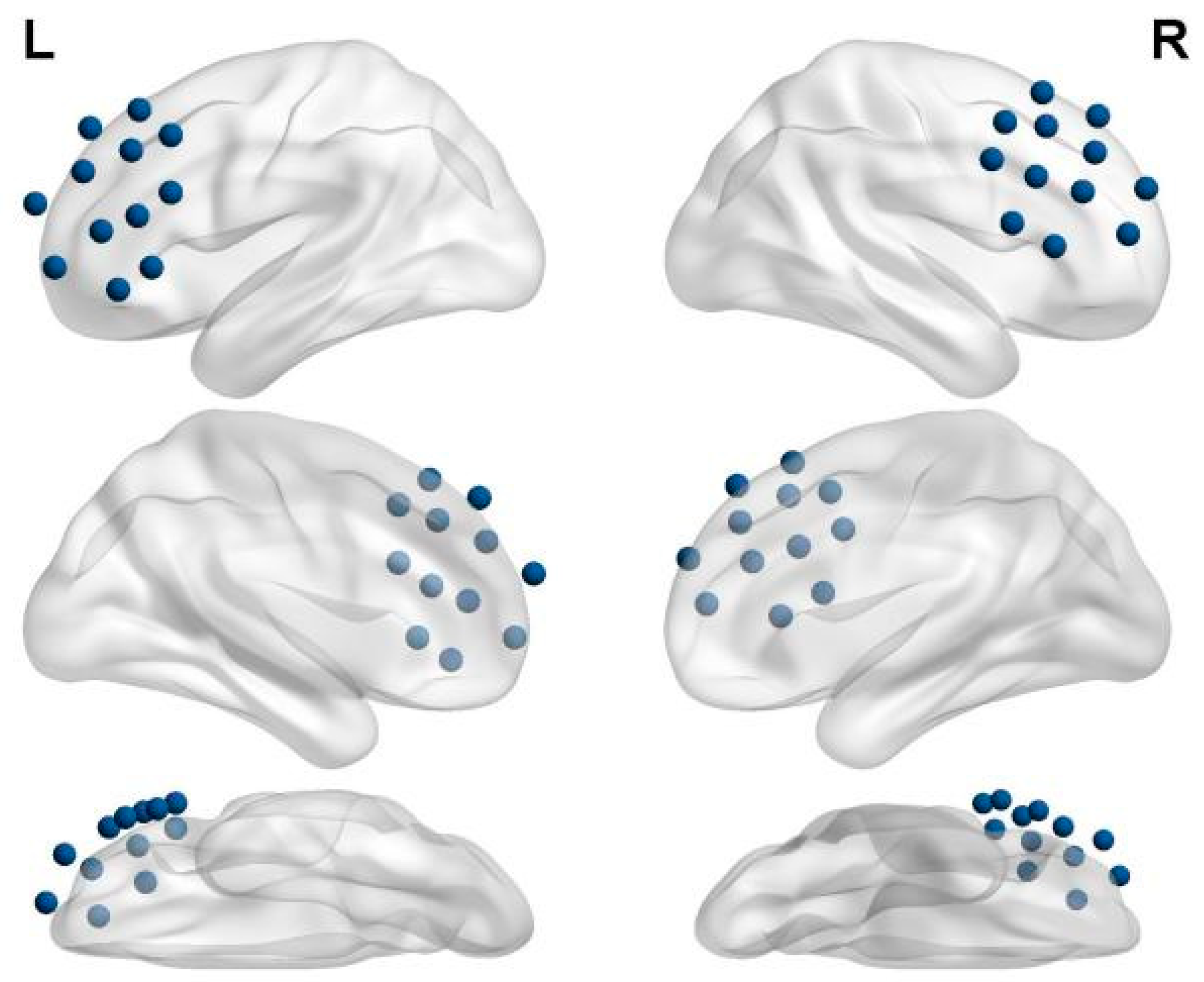 Brainsci 15 00438 g003
