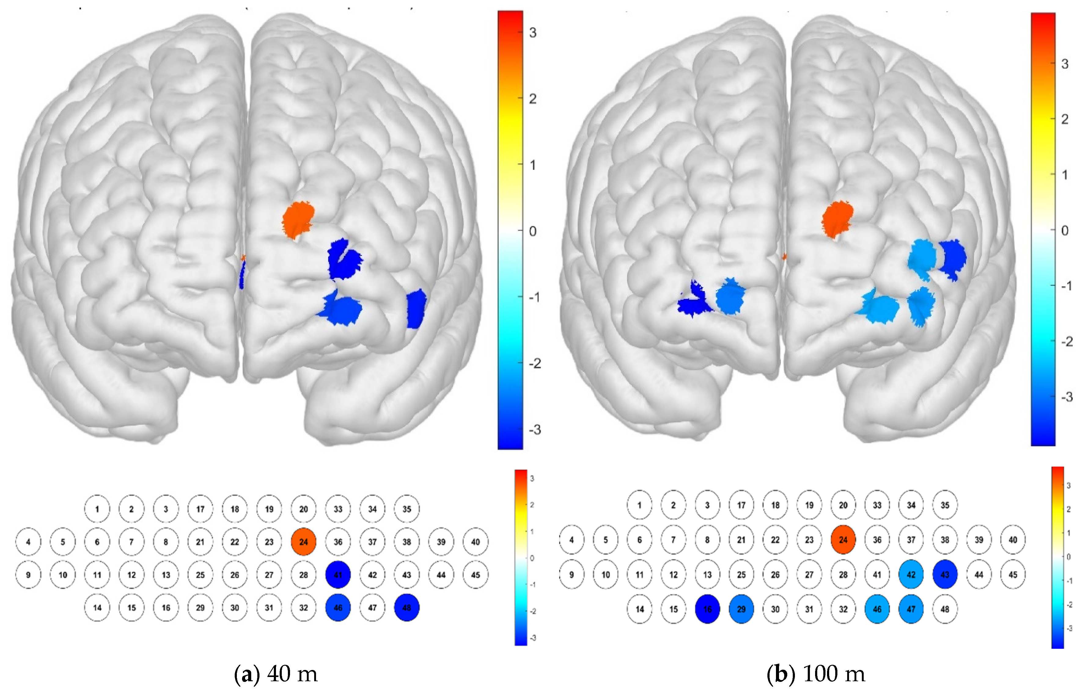 Brainsci 15 00439 g006