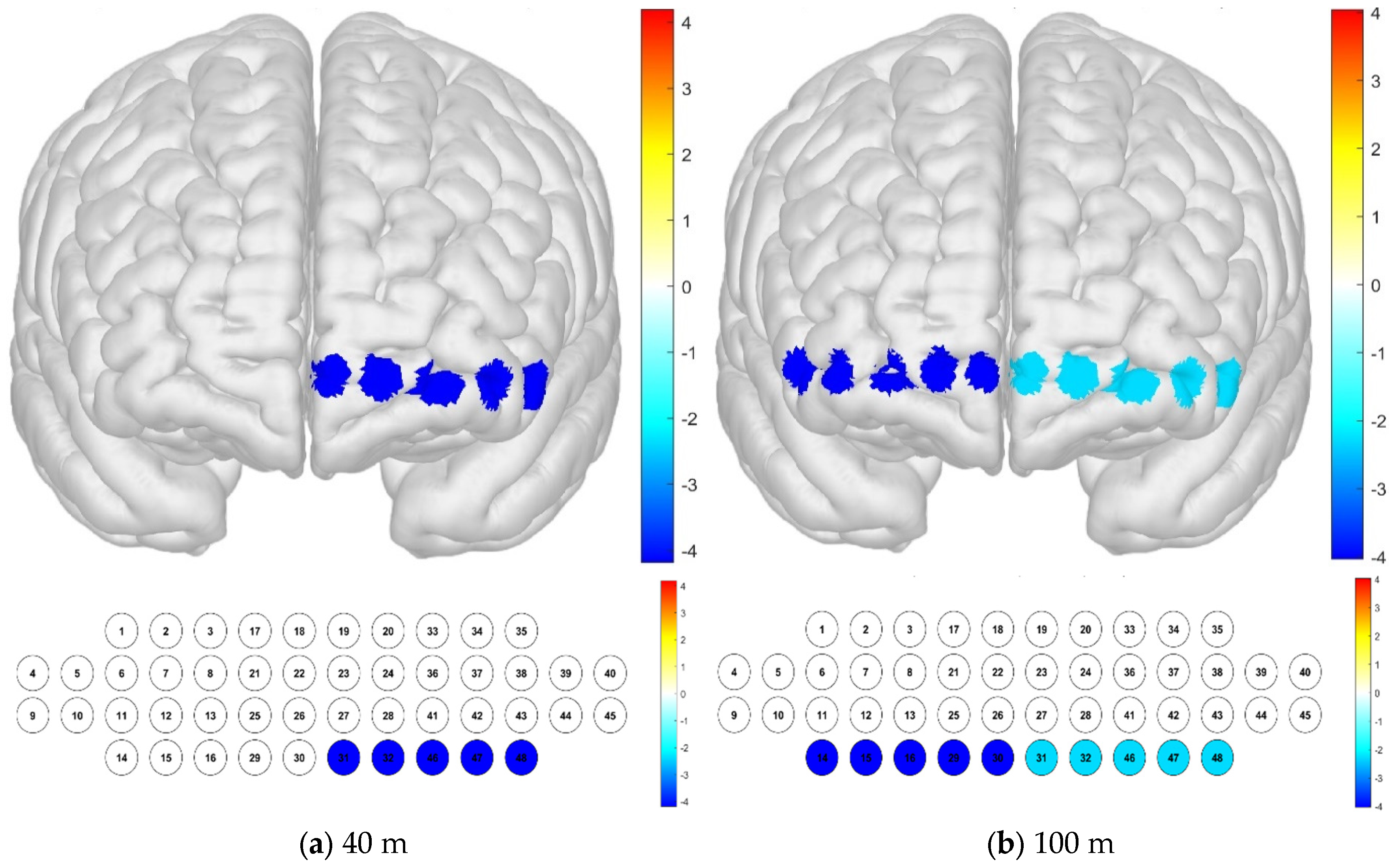 Brainsci 15 00439 g007