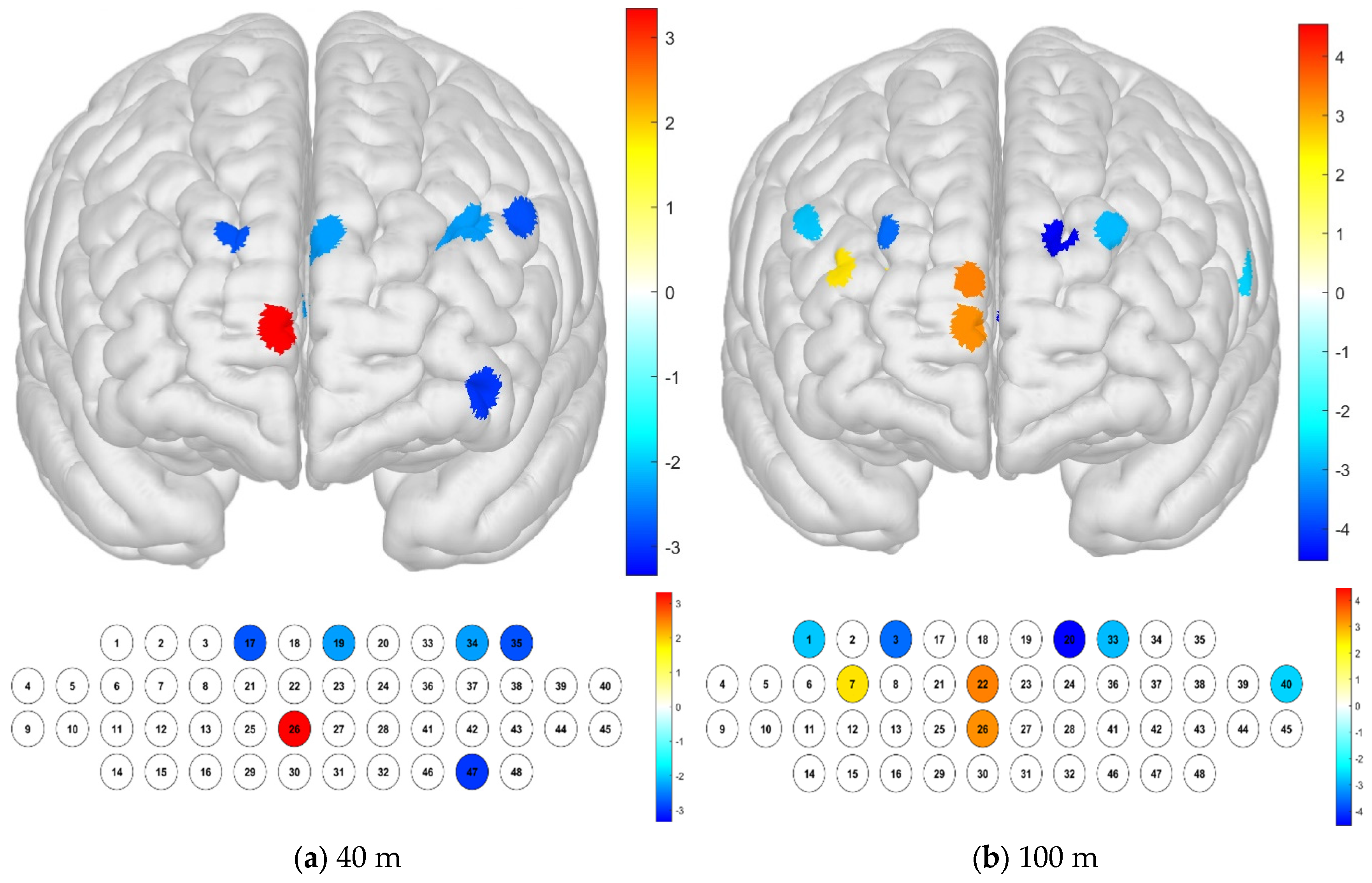 Brainsci 15 00439 g008