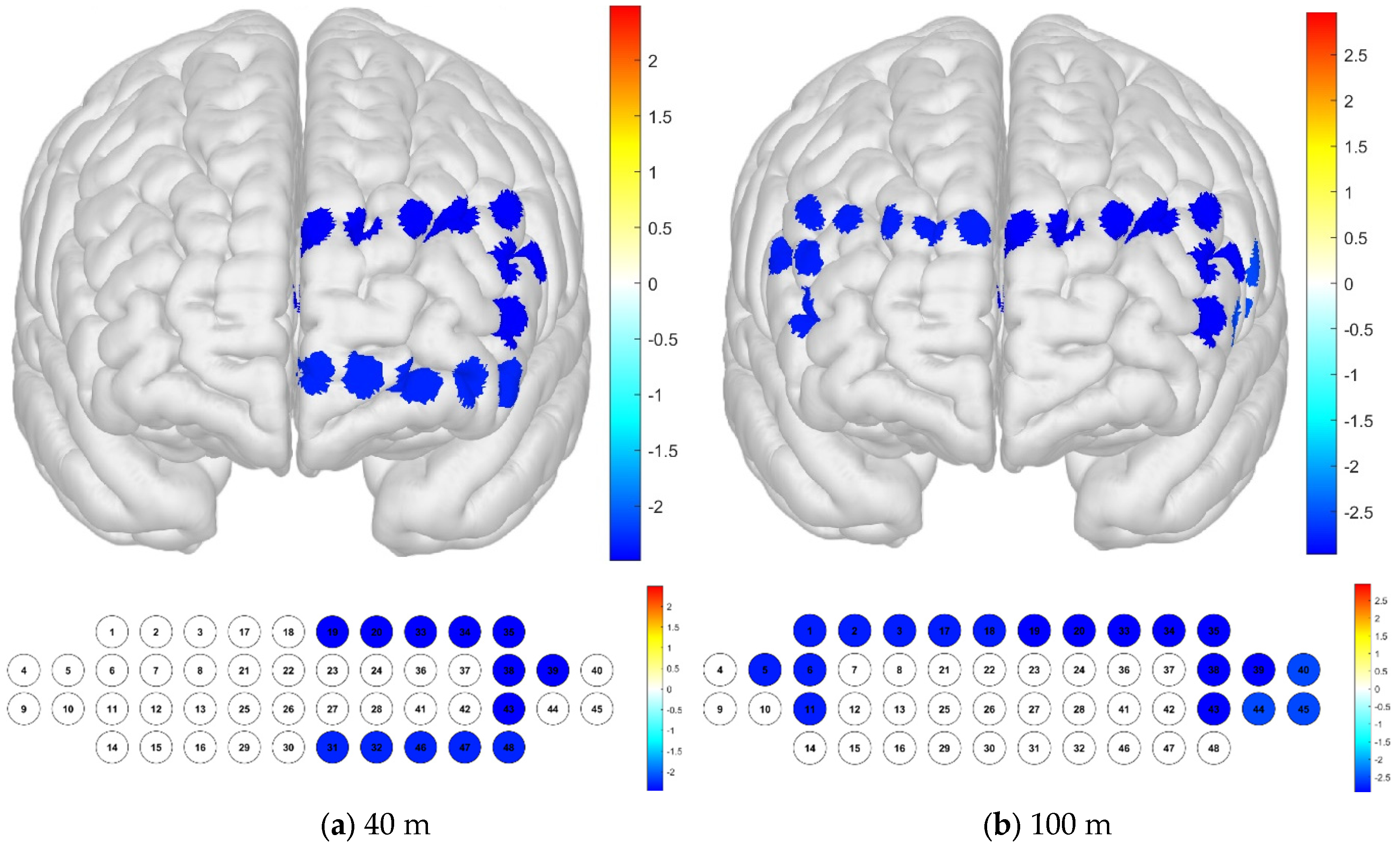 Brainsci 15 00439 g009