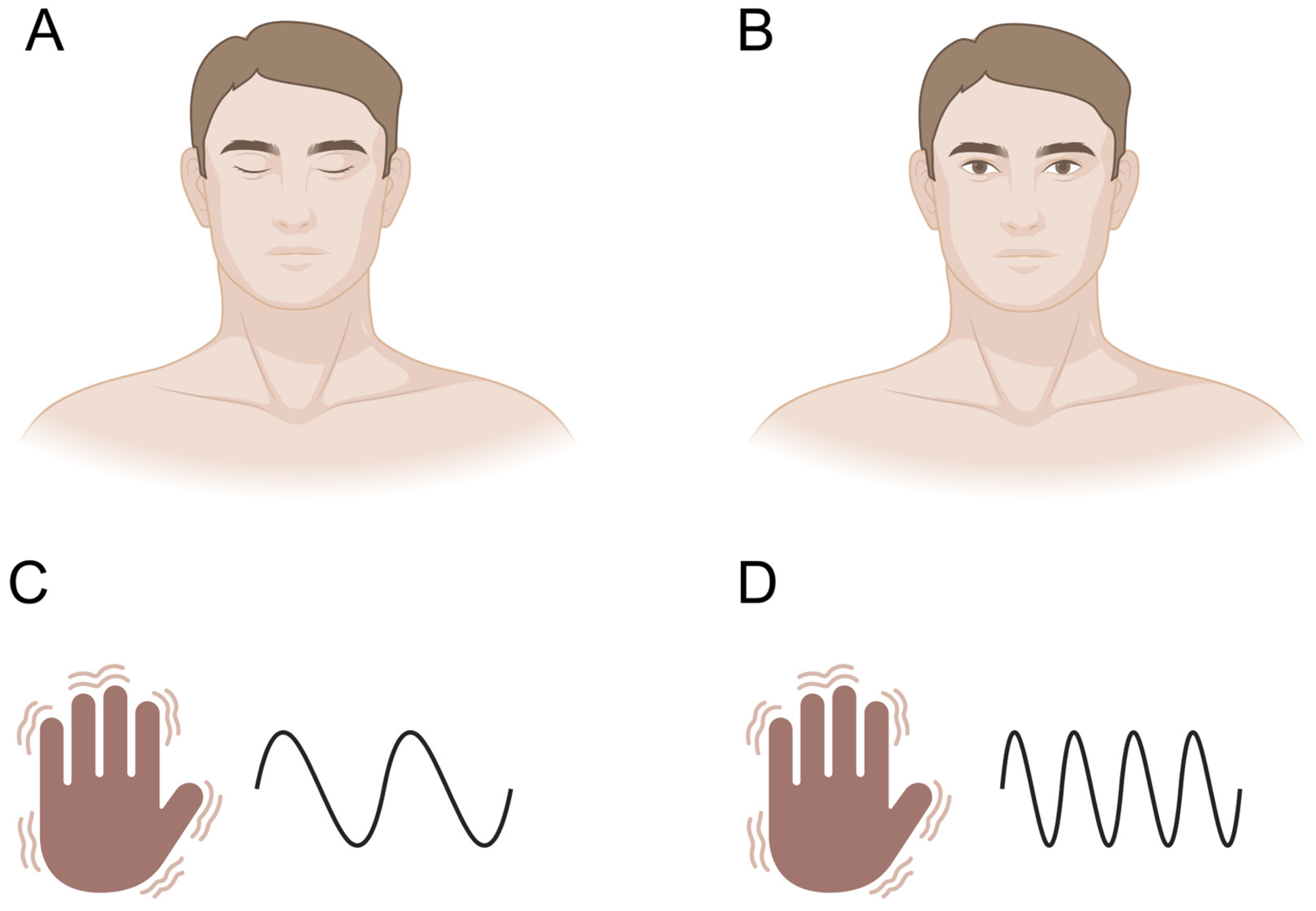 Brainsci 15 00440 g001
