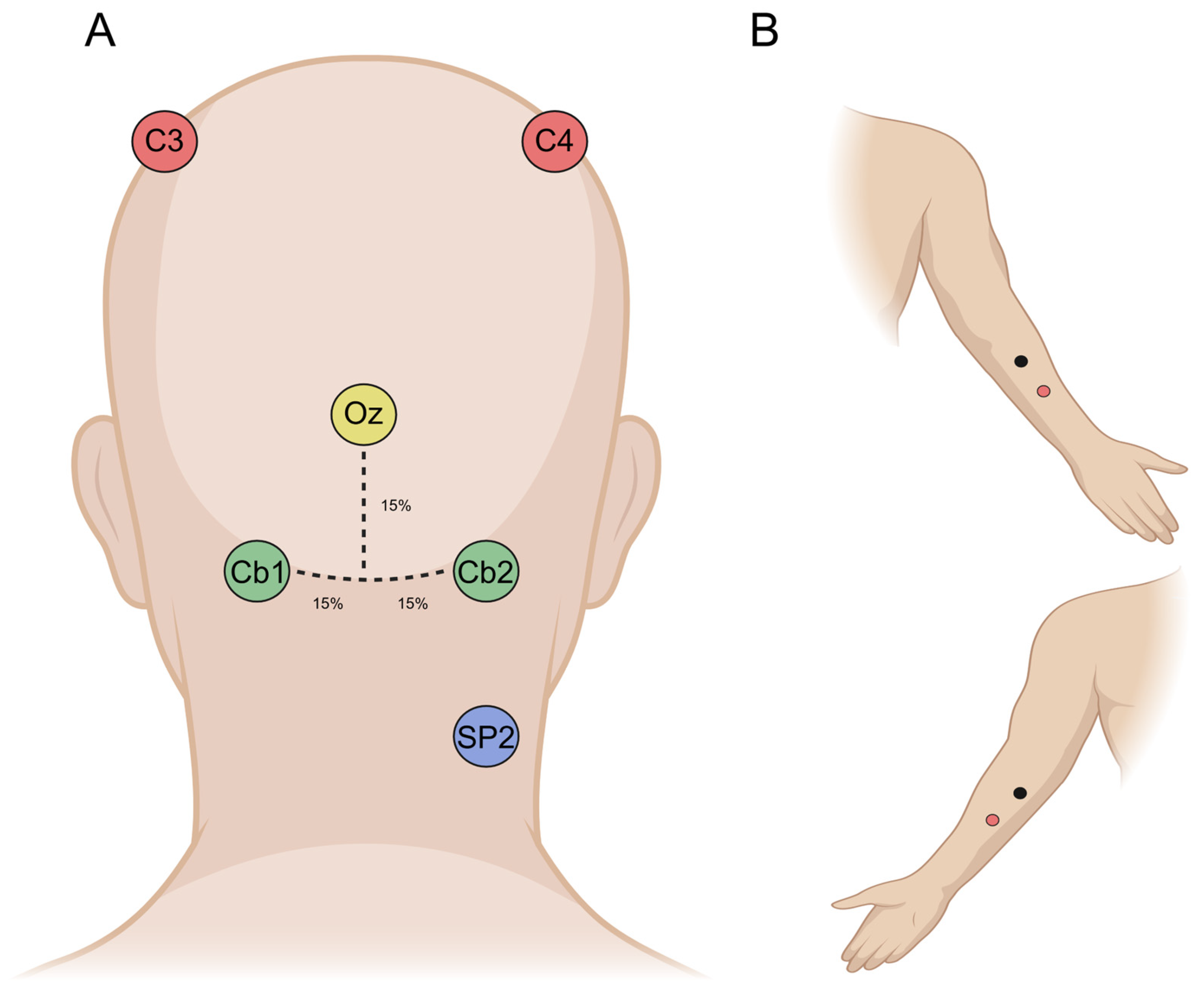 Brainsci 15 00440 g002
