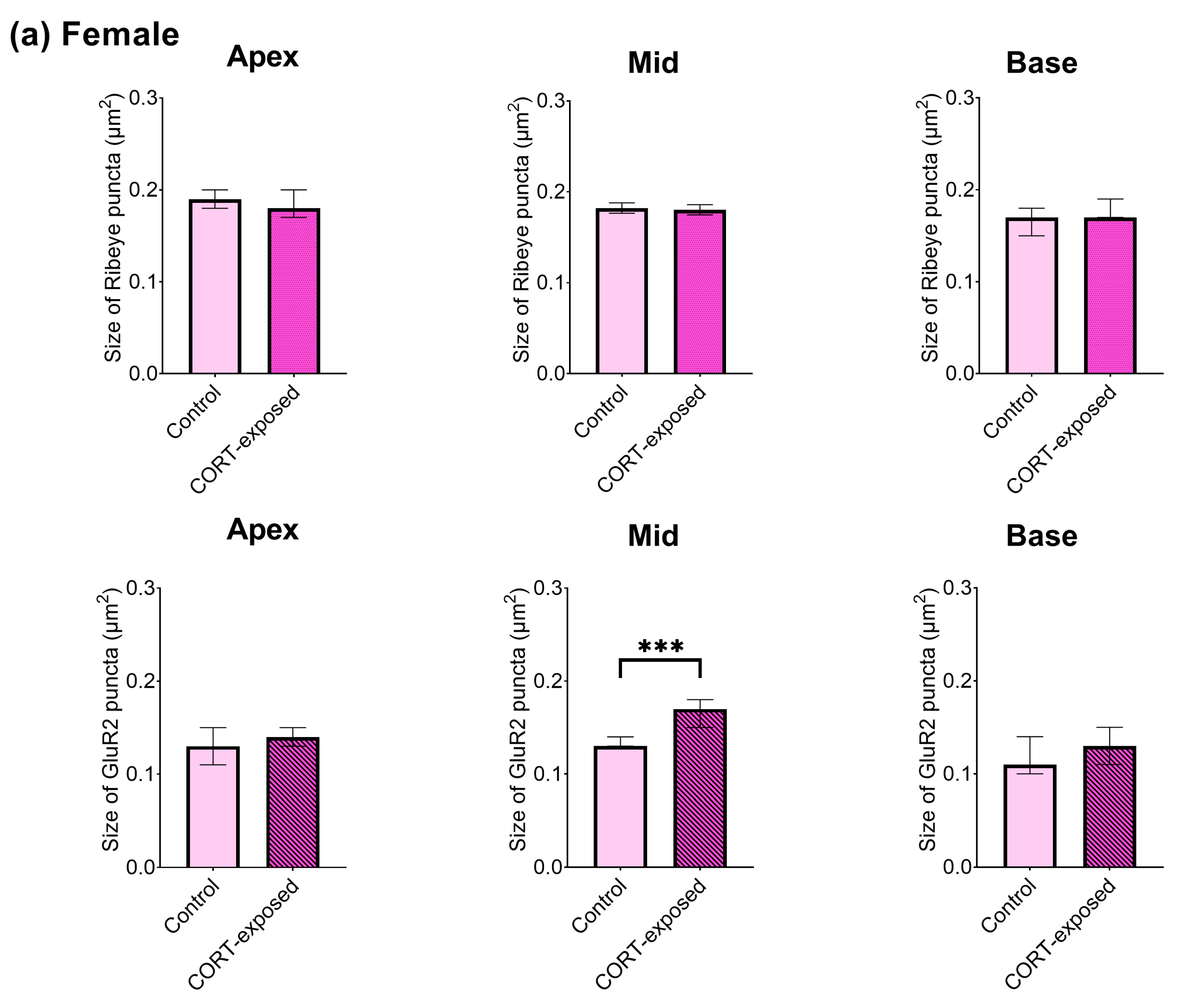 Brainsci 15 00441 g006a