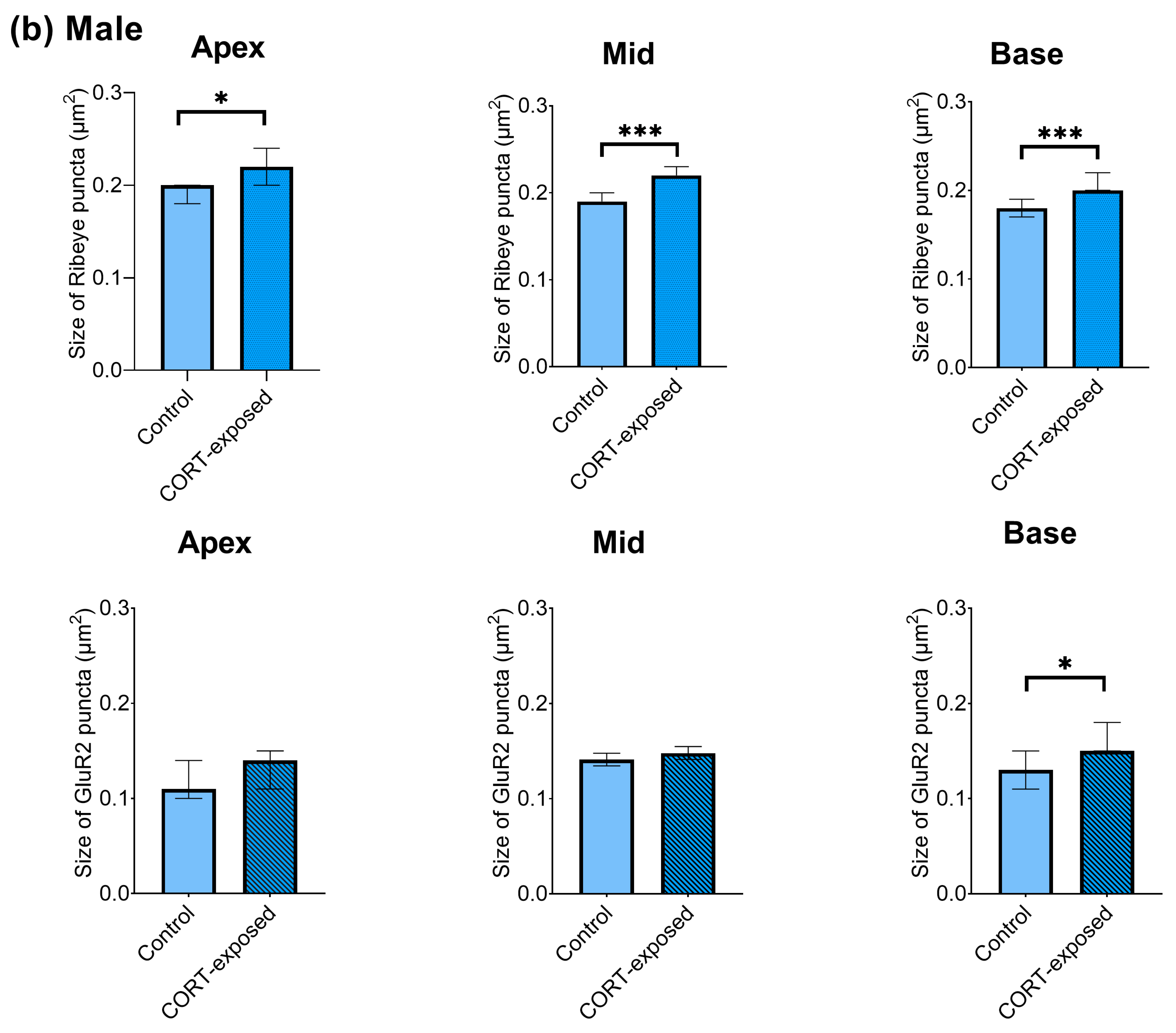 Brainsci 15 00441 g006b