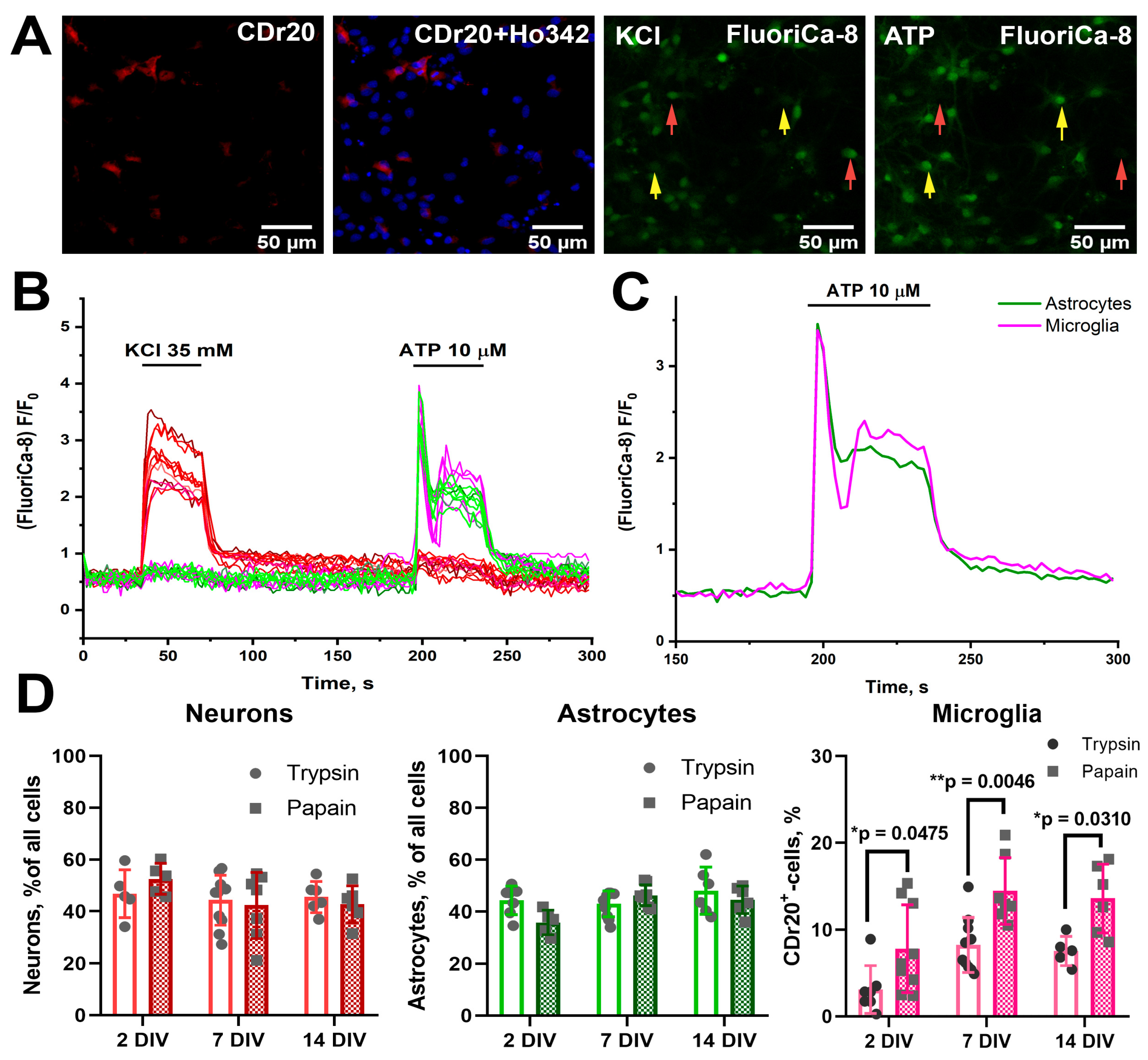 Brainsci 15 00442 g002 Brainsci 15 00442 g002