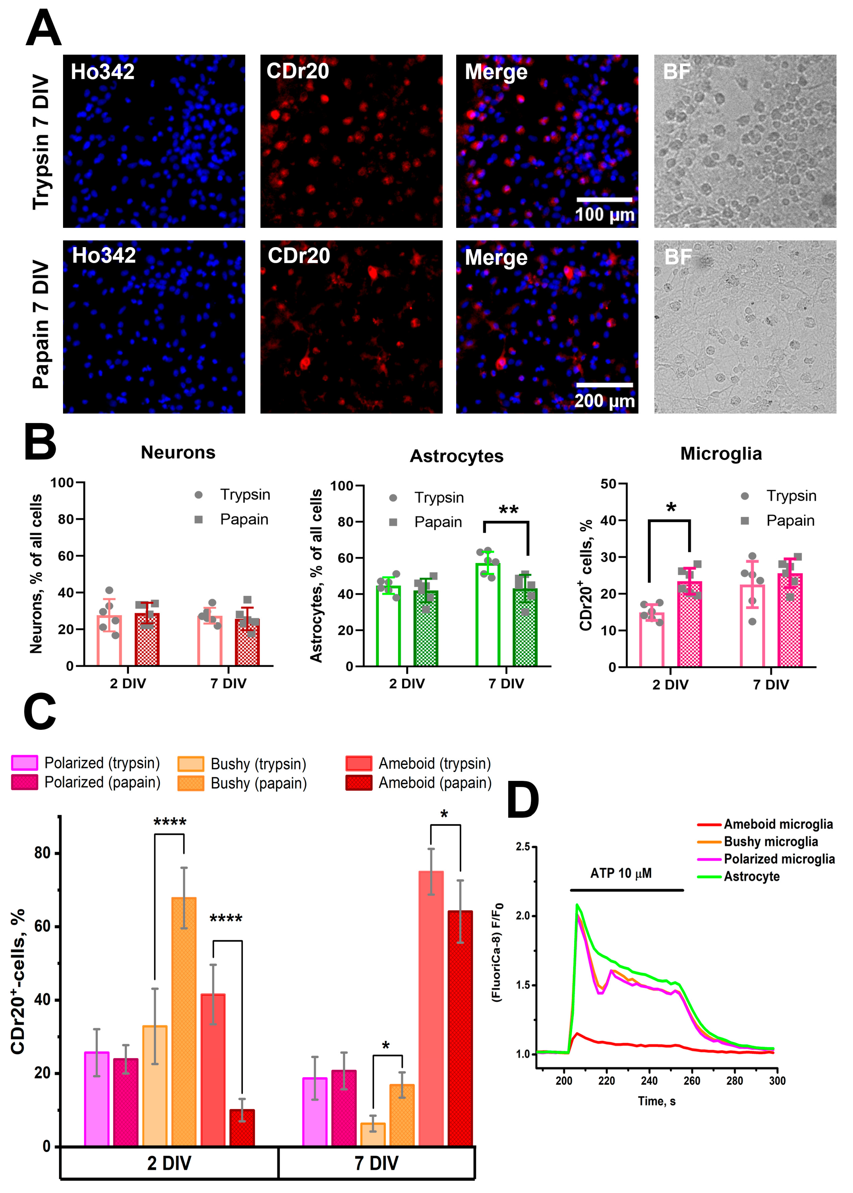 Brainsci 15 00442 g005 Brainsci 15 00442 g005